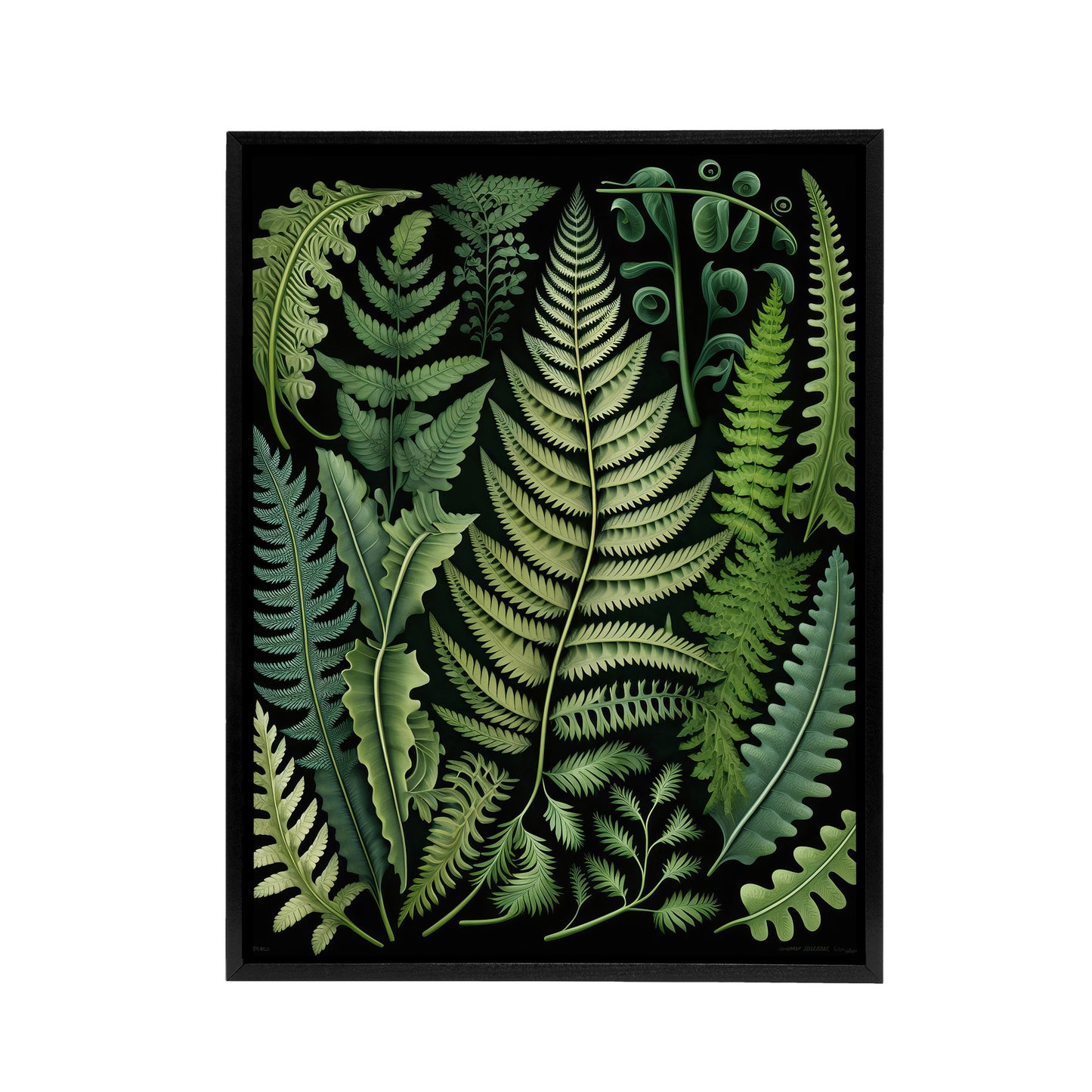 Ernst Haeckel Inspired Fern Leaf Fronds Black Framed Canvas Wall Art Print
