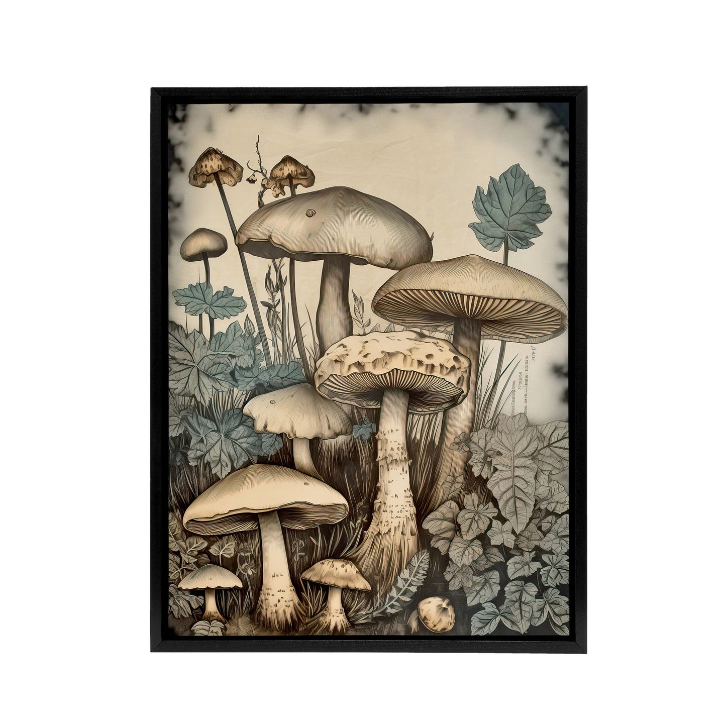 Mushroom Fungi Watercolour Vintage Black Framed Canvas Wall Art Print