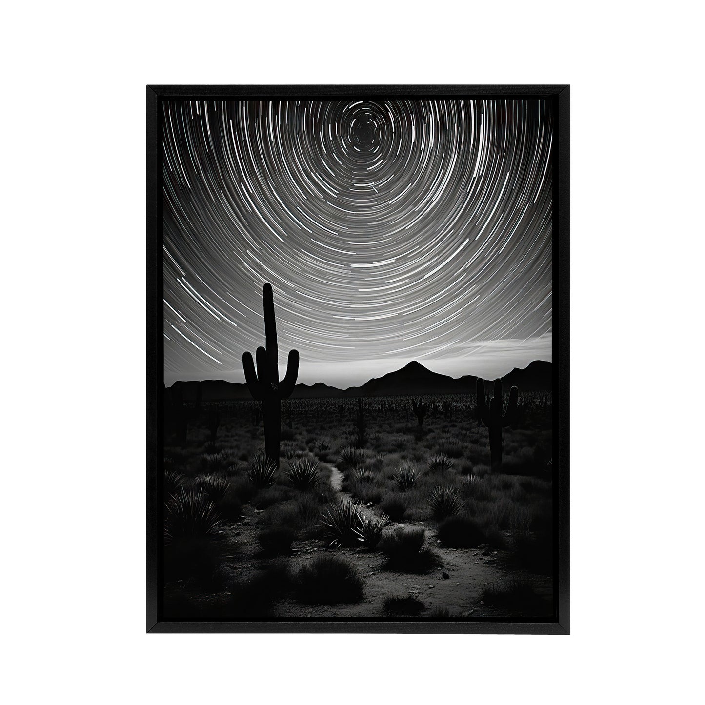 Night Sky Stars Time Lapse Over Desert Cactus Black Framed Canvas Art