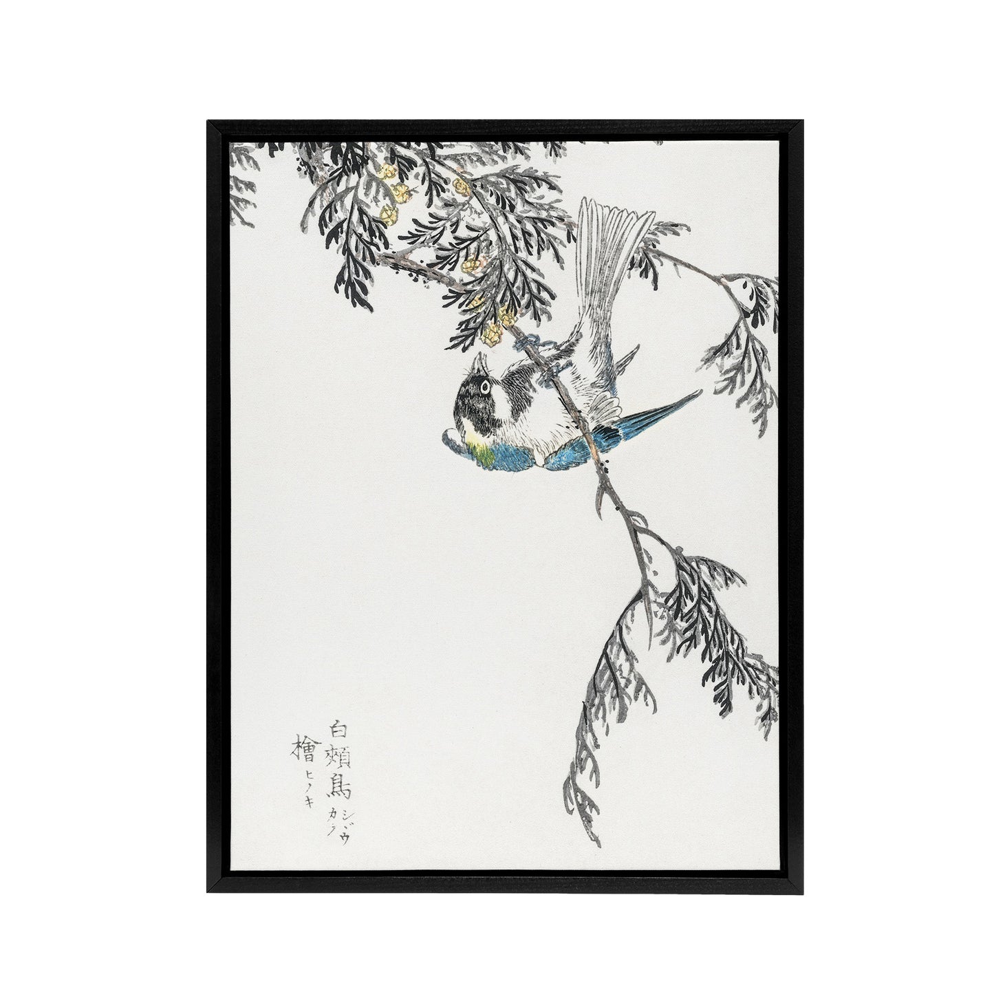 Great Tit and Cypress Japanese Framed Canvas Wall Art Print Kashu