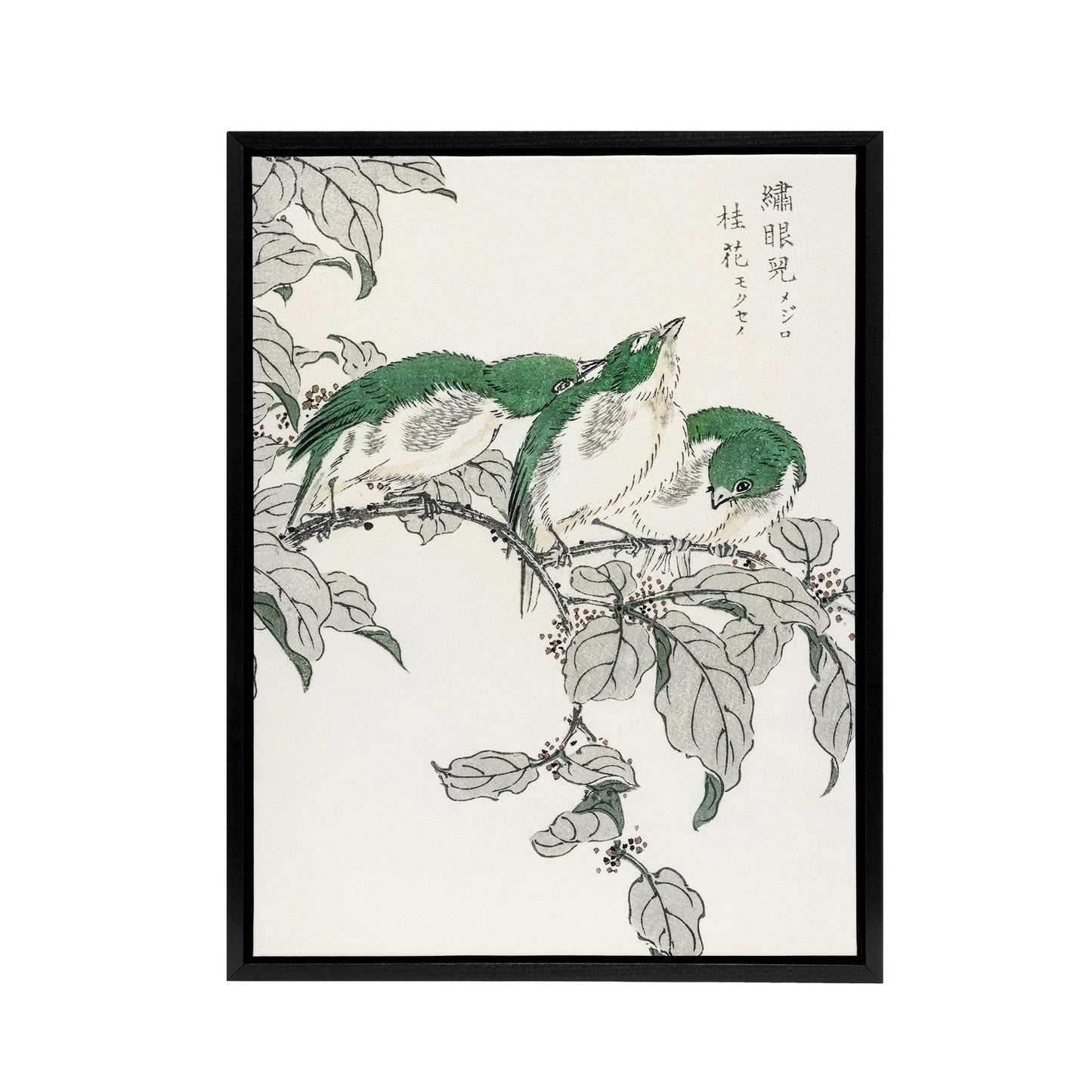 White Eye and Osmanthus Japanese Framed Canvas Wall Art Print Kashu