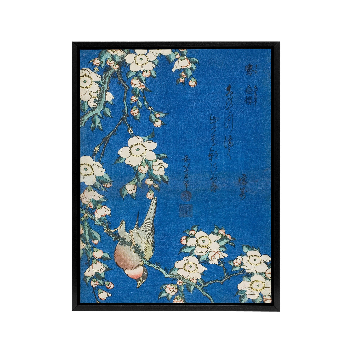 Bullfinch Weeping Cherry Blossoms Framed Canvas Wall Art Print Hokusai
