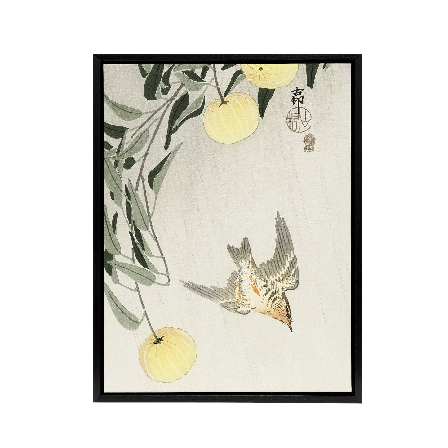 Cuckoo In Early Summer Rain Framed Canvas Wall Art Print Ohara Koson