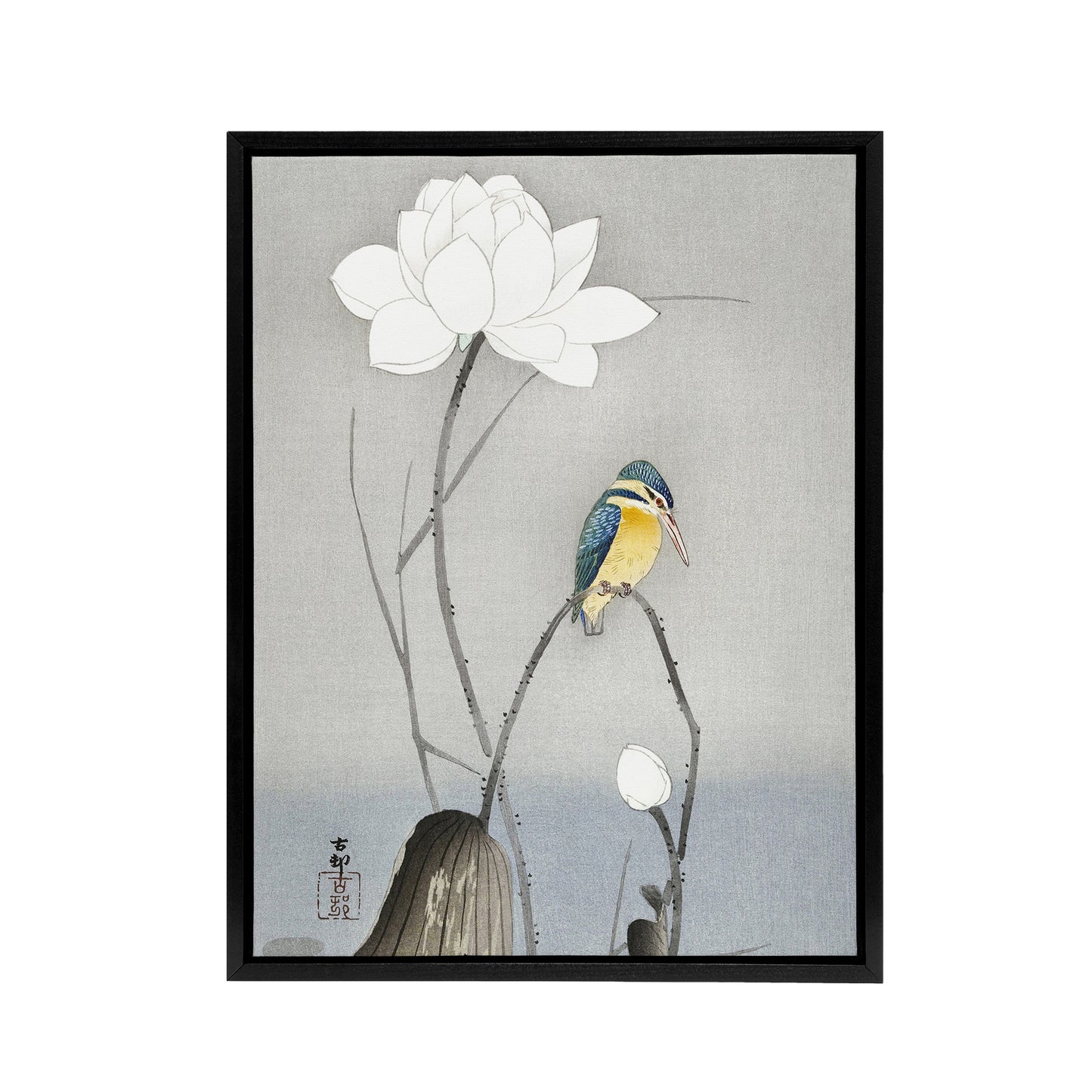 Kingfisher With Lotus Flower Framed Canvas Wall Art Print Ohara Koson