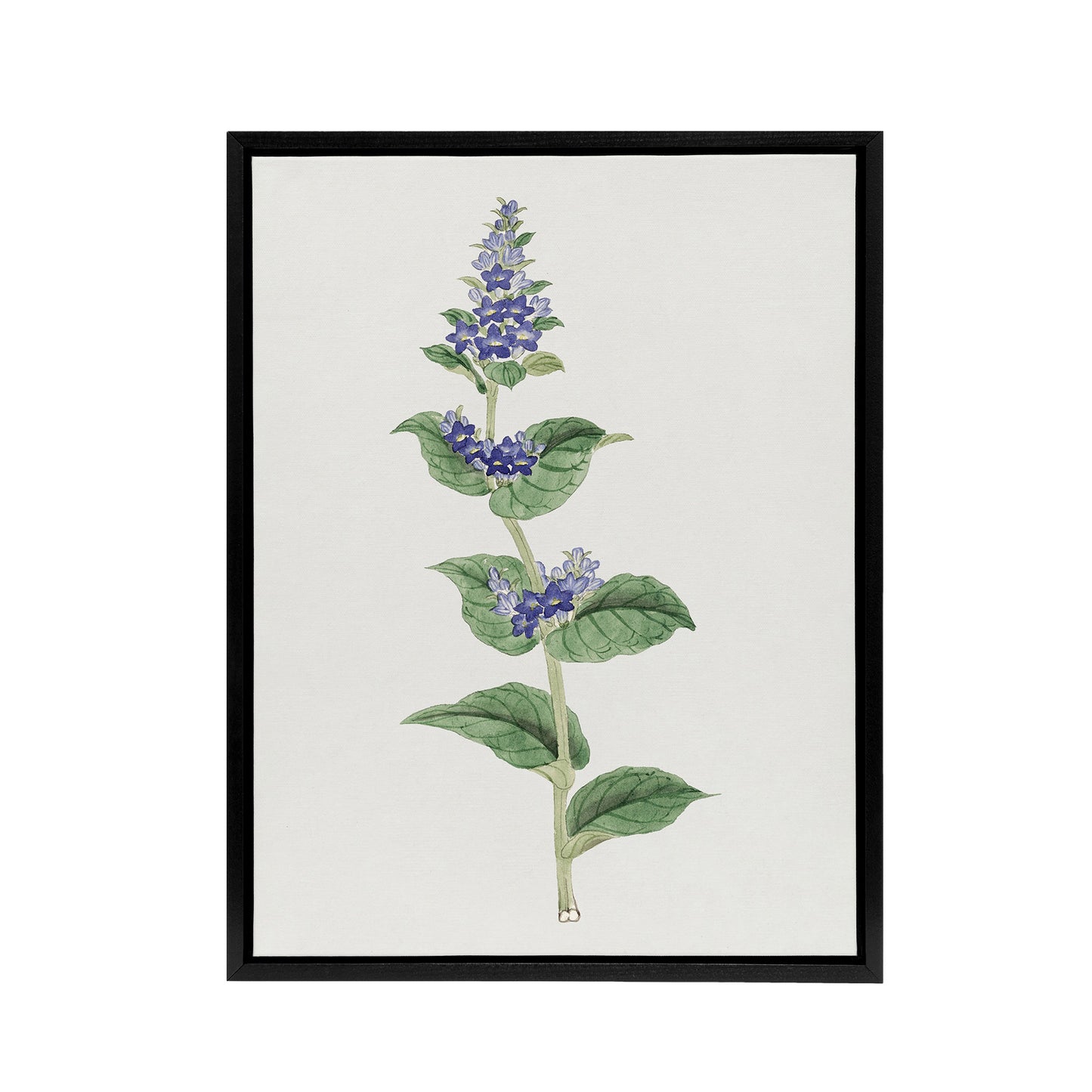 Gentian Flower Framed Canvas Wall Art Print Vintage Japanese Botanical