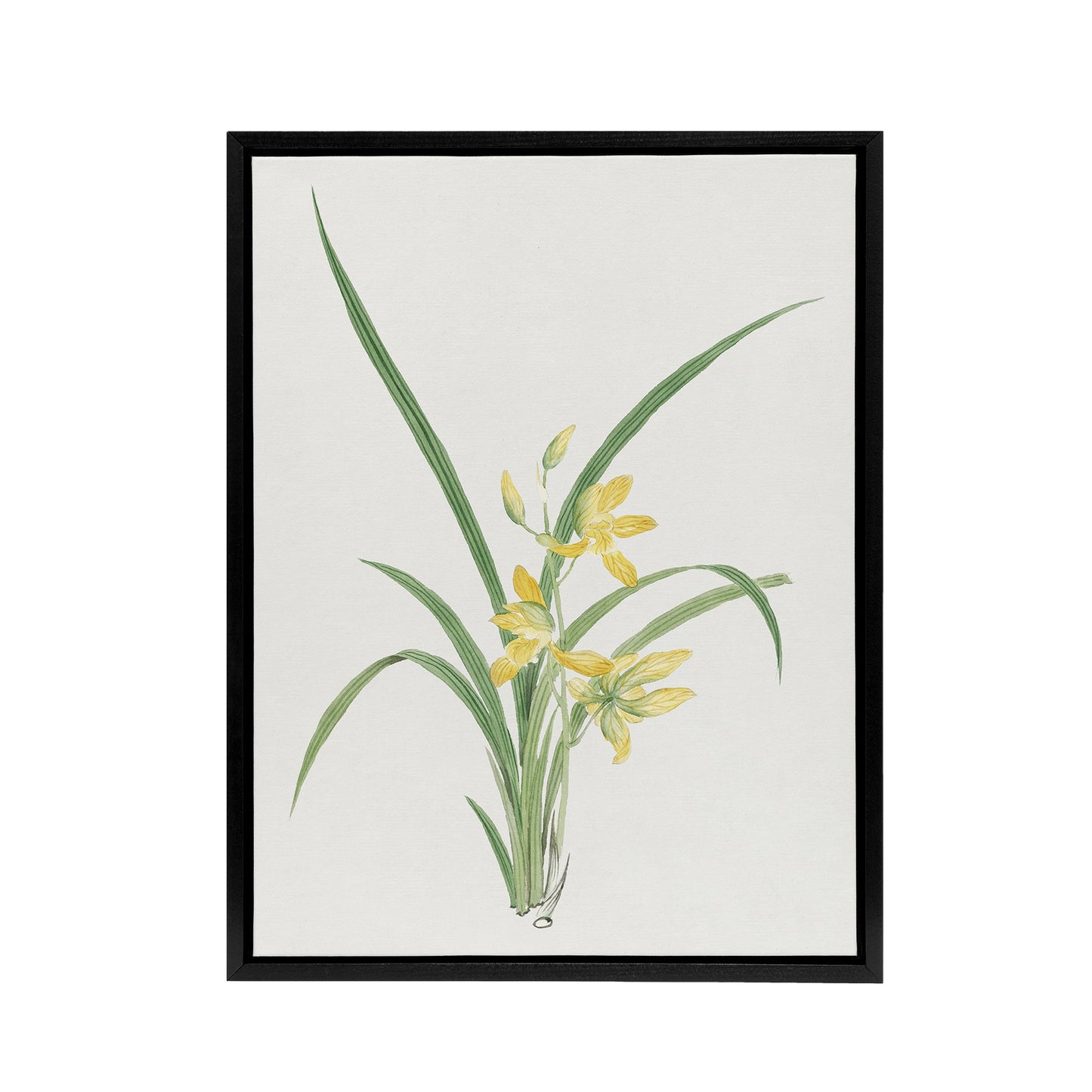Yellow Lilies Framed Canvas Wall Art Print Vintage Japanese Botanical