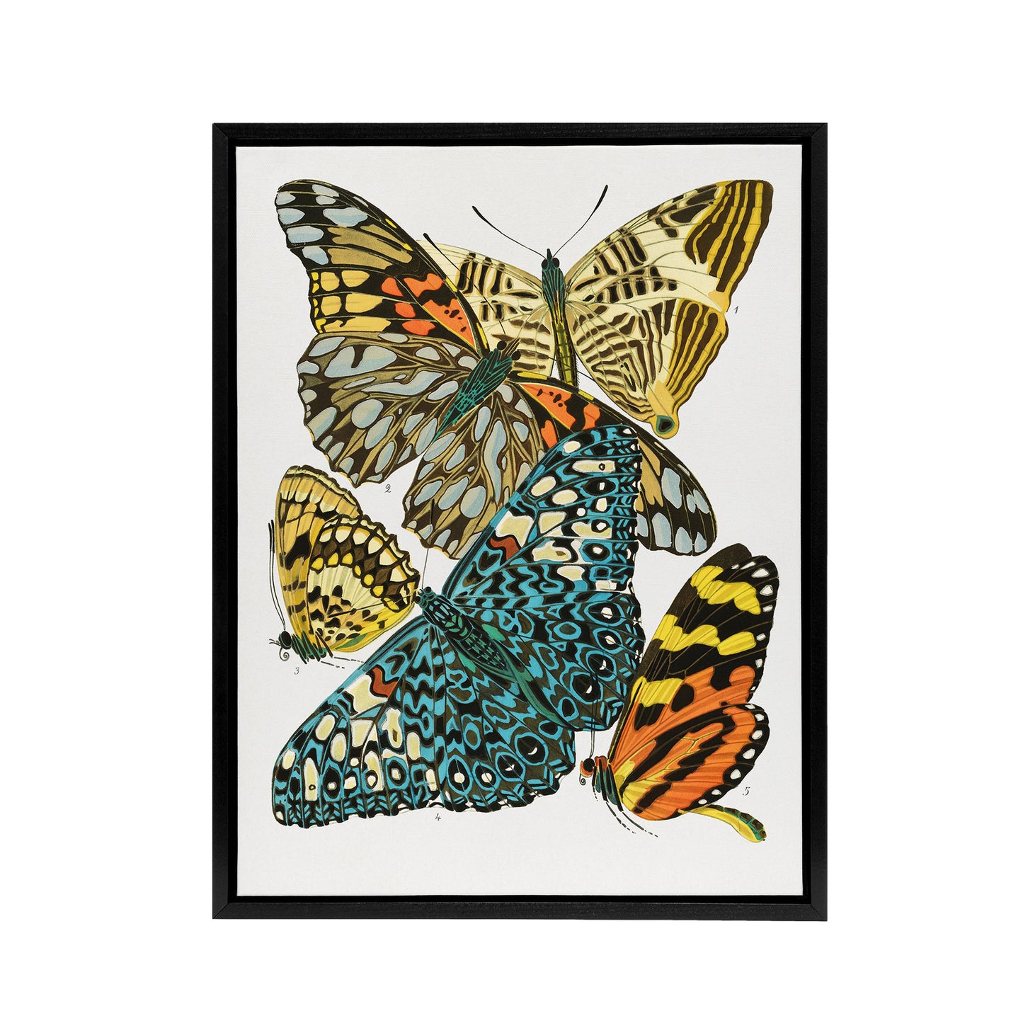 Vintage Butterflies Blue Yellow Framed Canvas Wall Art Print Seguy