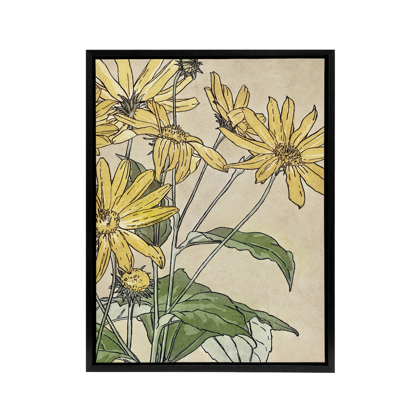Sunflowers Watercolour Framed Canvas Wall Art Print Overbeck