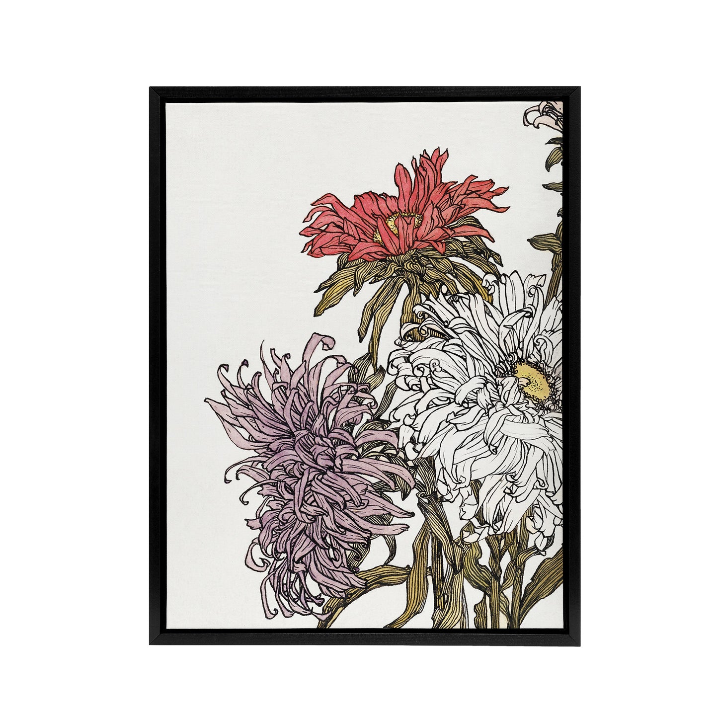 Chrysanthemums Flower Painting Framed Canvas Wall Art Print Julie Graag