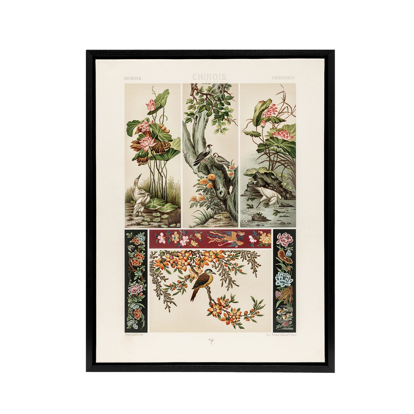 Chinese Patterns of Birds and Flowers Racinet Framed Canvas Wall Art