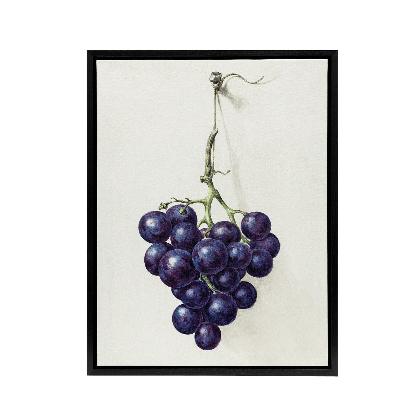 Bunch of Blue Grapes Oil Jean Bernard Vintage Framed Canvas Wall Art