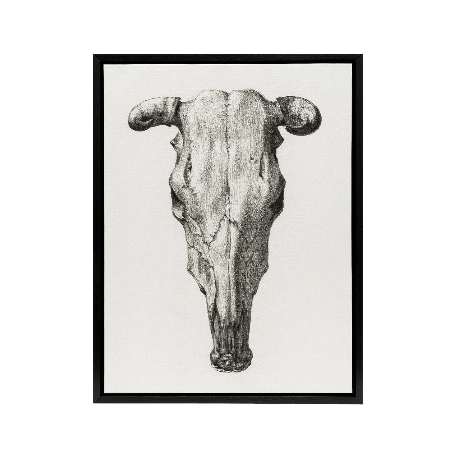 Skull of a Cow Pencil Drawing Bernard Vintage Framed Canvas Wall Art