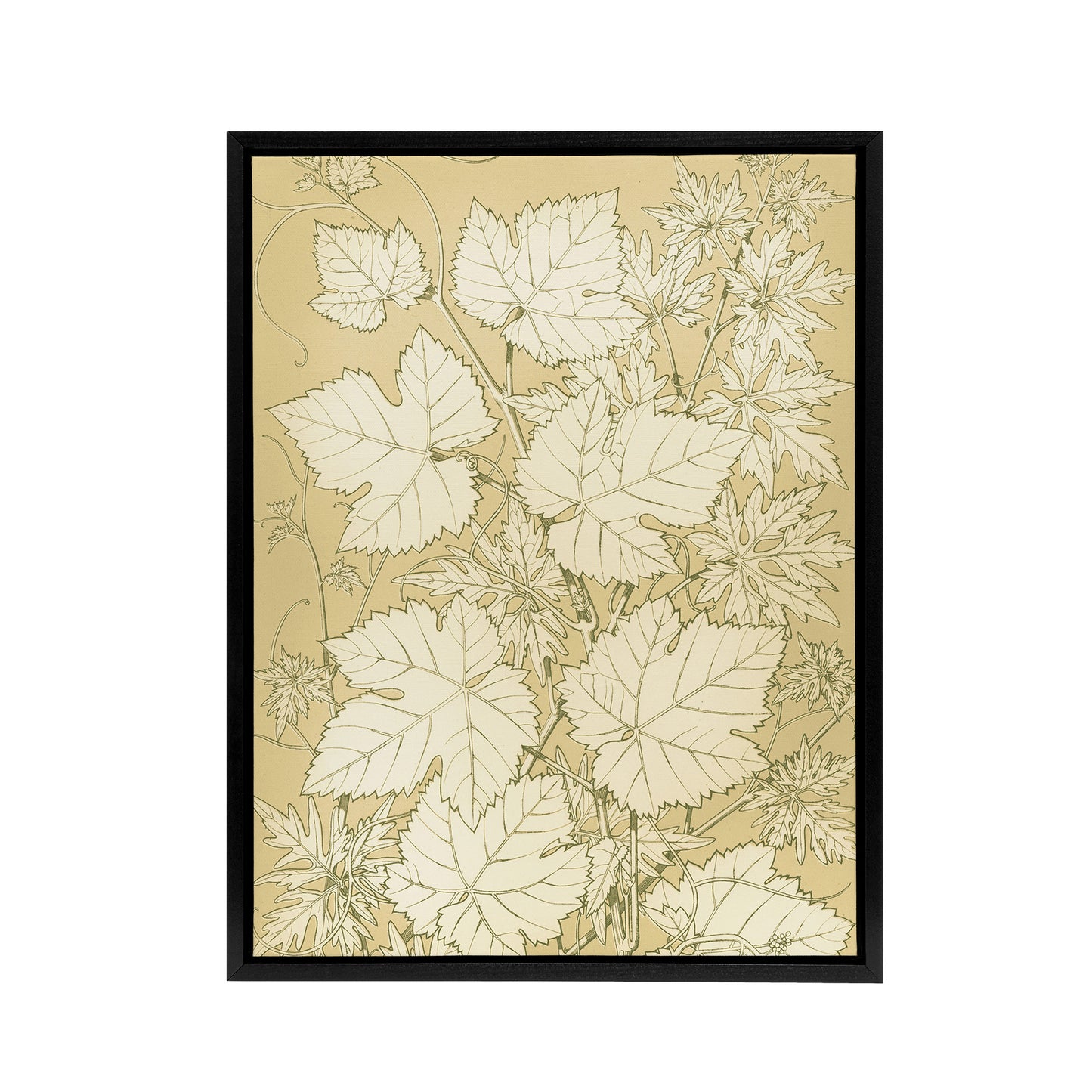 Leaves From Nature No 2 Botanical Jones Vintage Framed Canvas Wall Art