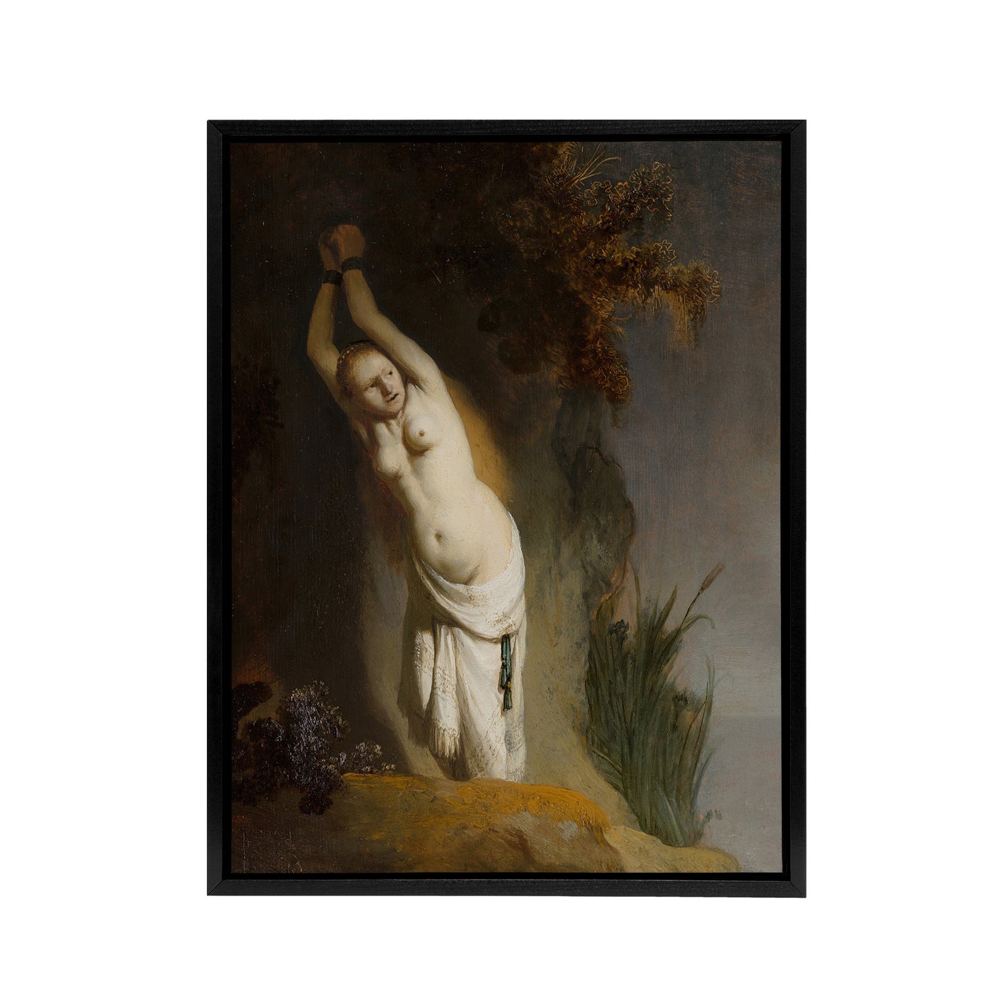 Andromeda Chained to the Rocks Rembrandt Framed Canvas Wall Art Print