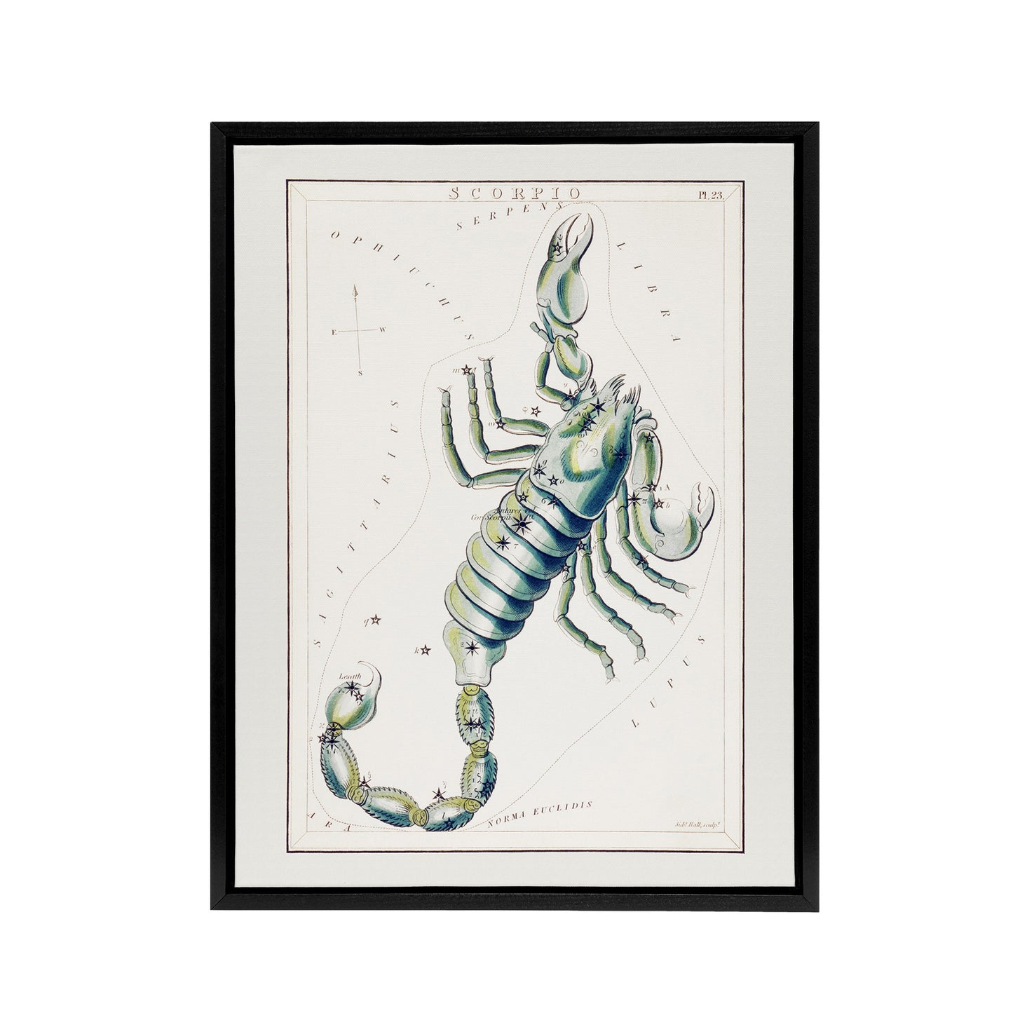 Astronomical Chart illustration of Scorpio Hall Framed Canvas Wall Art Print