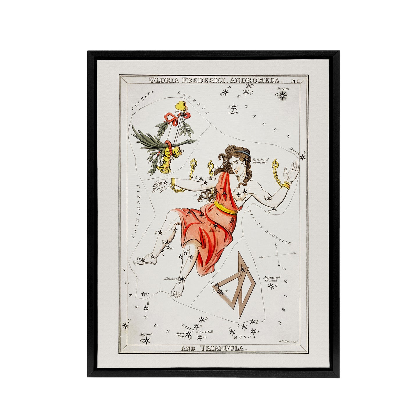 Vintage Andromeda Constellation Illustration Hall Framed Canvas Wall Art Print