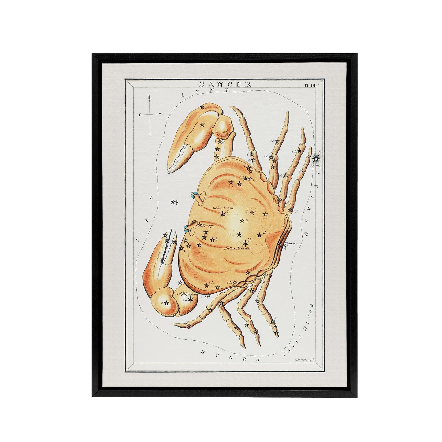 Vintage Cancer Constellation Illustration Hall Framed Canvas Wall Art Print