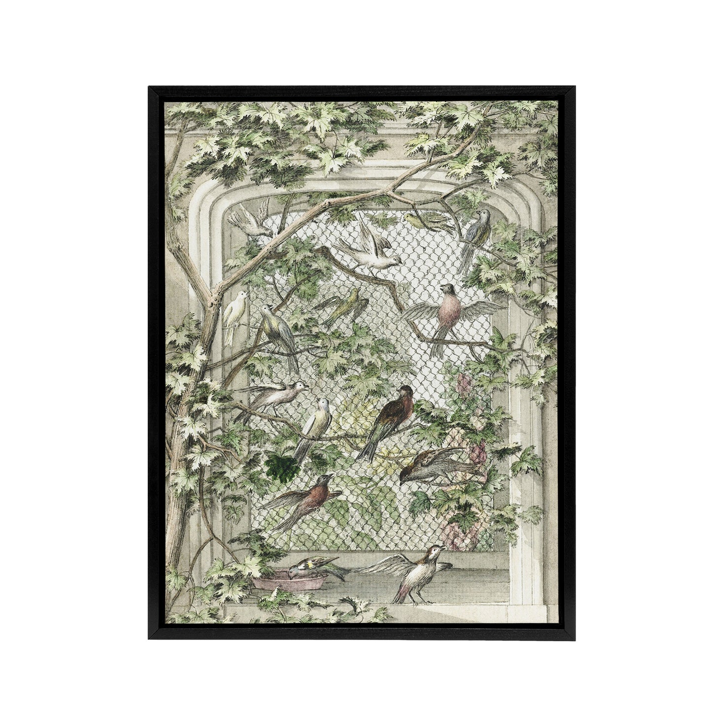 Aviary with Fourteen Birds Schouman Framed Canvas Wall Art Print