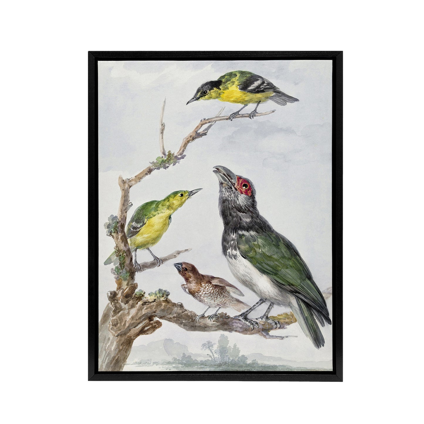 Four Different Birds on a Branch Schouman Framed Canvas Wall Art Print