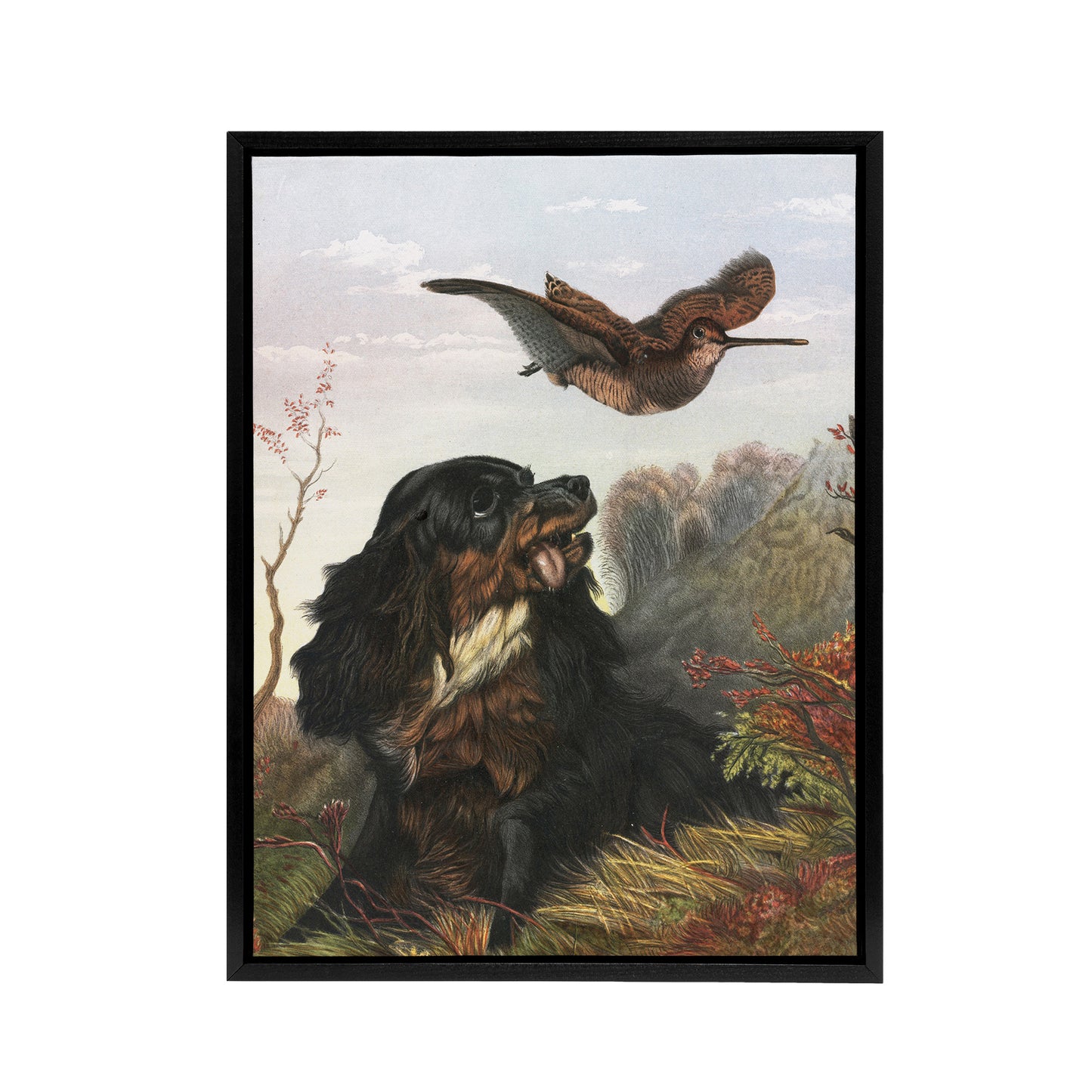 Cocker Spaniel Dog and Woodcock Arthur Tait Framed Canvas Wall Art Print