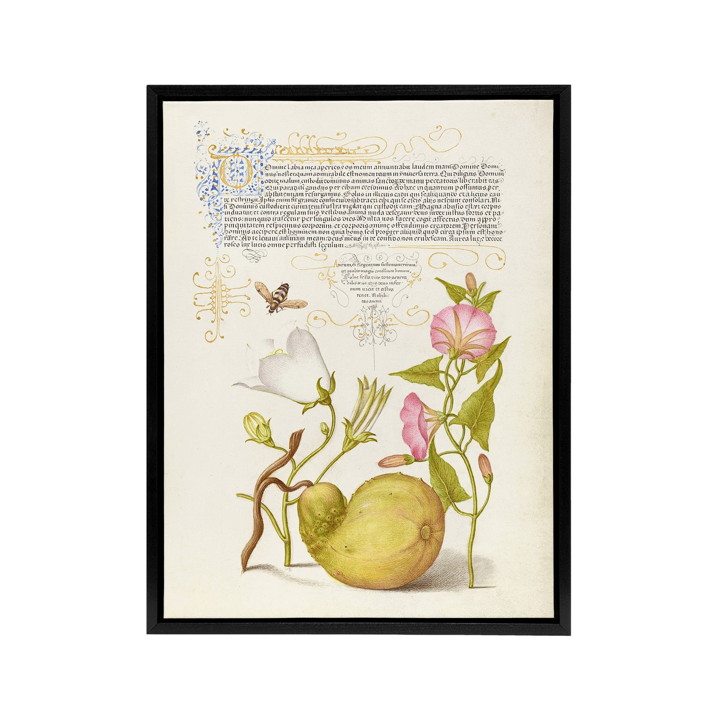 Beetle Flowers and Gourd Calligraphy Framed Canvas Wall Art Print