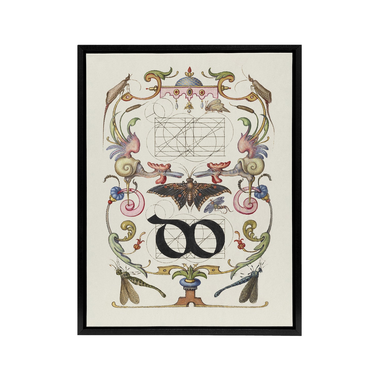 Ligature Guide with Butterfly Calligraphy Framed Canvas Wall Art Print