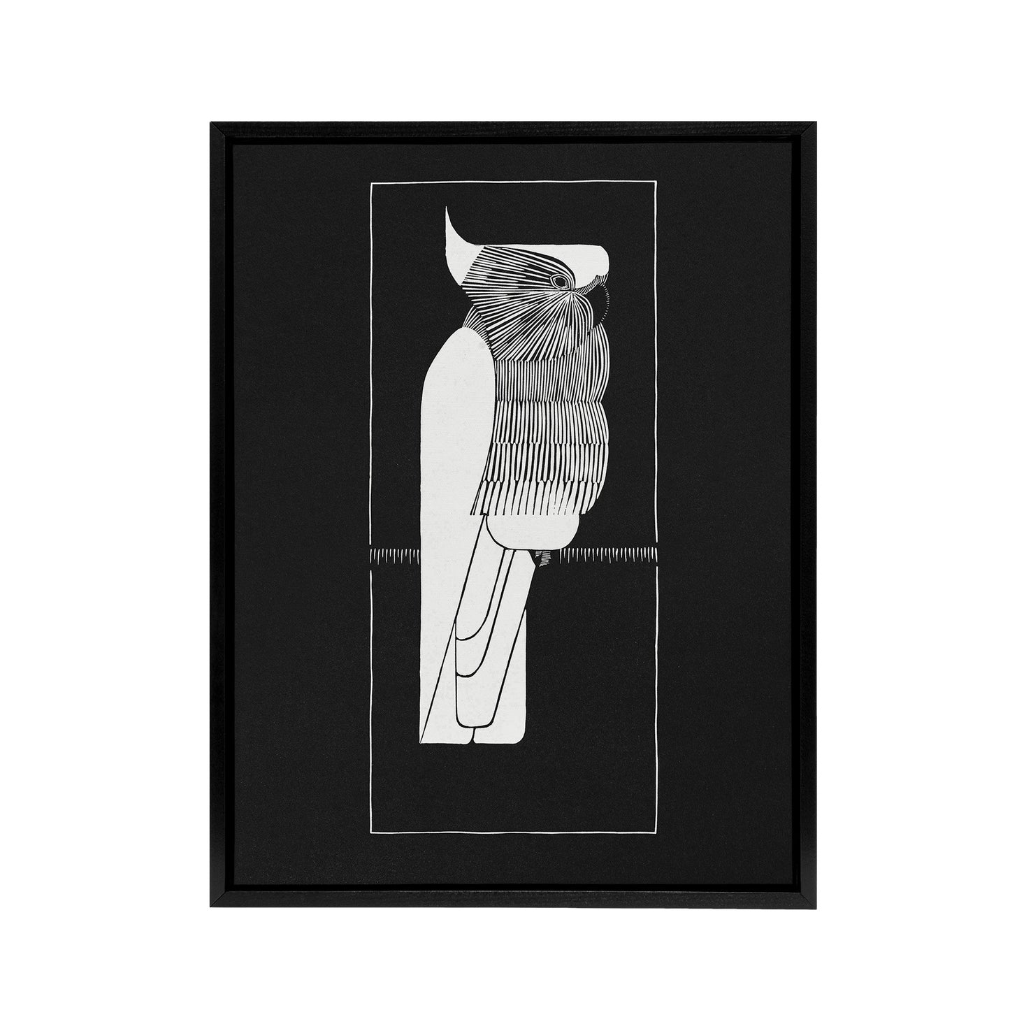 Sulphur Crested Cockatoo Parrot De Mesquita Framed Canvas Wall Art Print