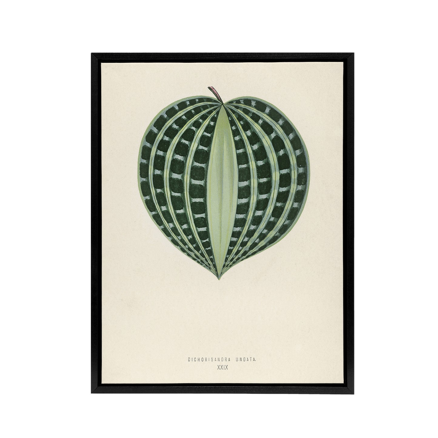 Vintage Botanical Seersucker Plant Leaf Fawcett Framed Canvas Wall Art