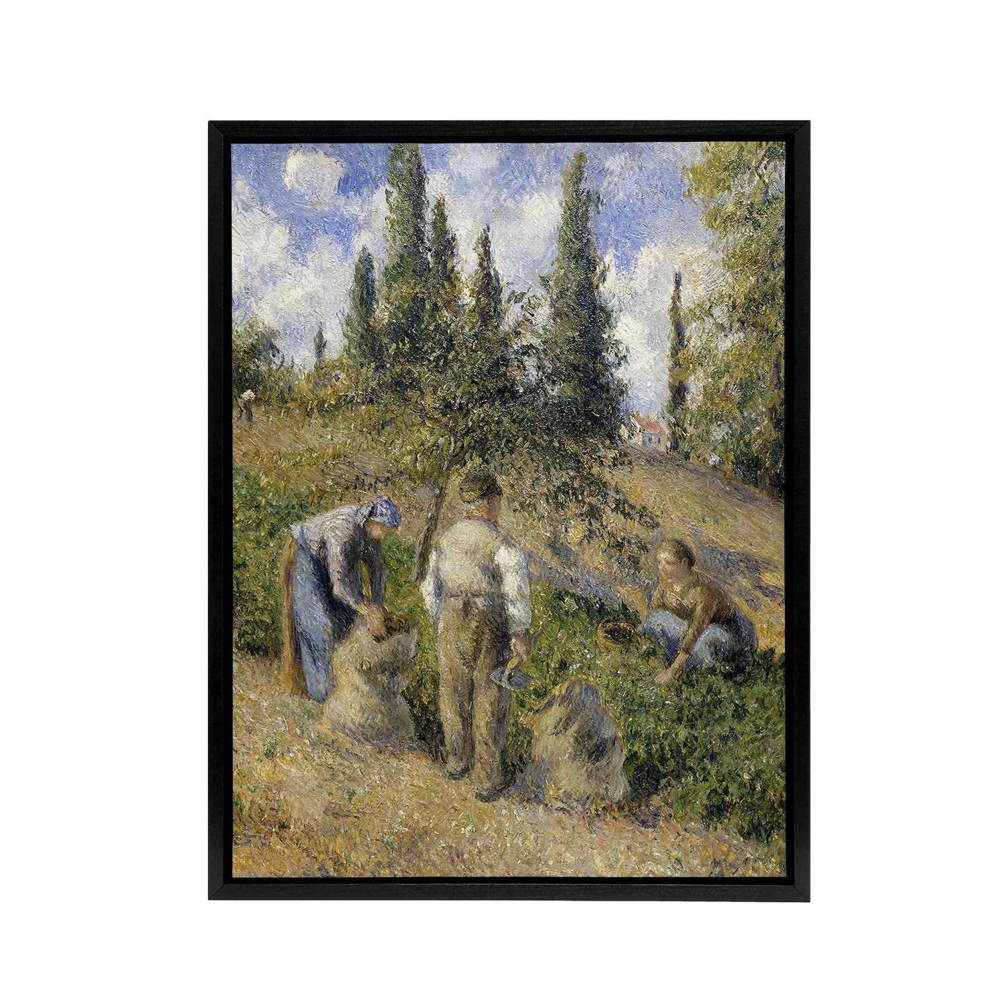 Pontoise Harvest Oil Painting Pissarro Black Framed Canvas Wall Art Print