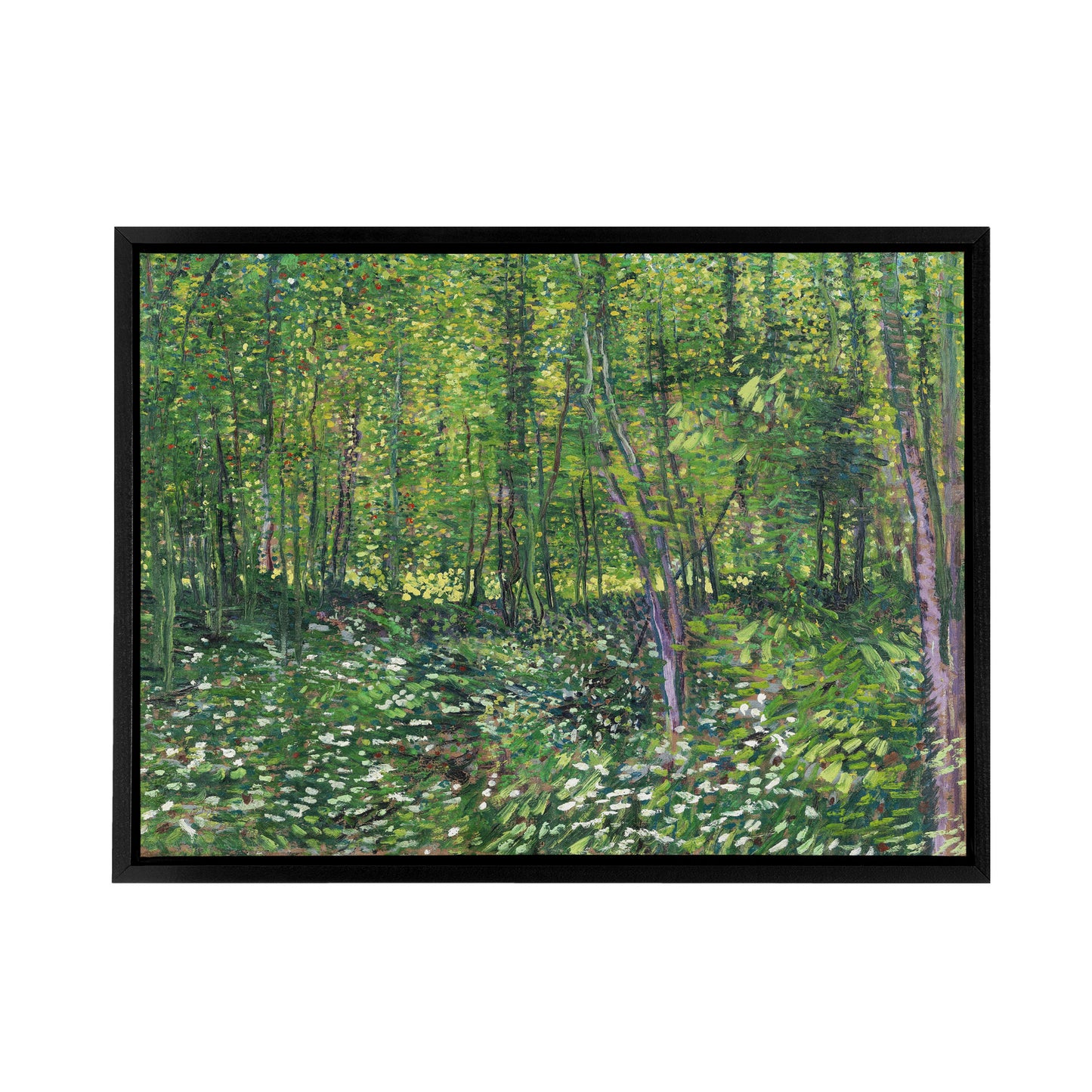 Vincent Van Gogh Trees And Undergrowth Black Framed Canvas Wall Art Print