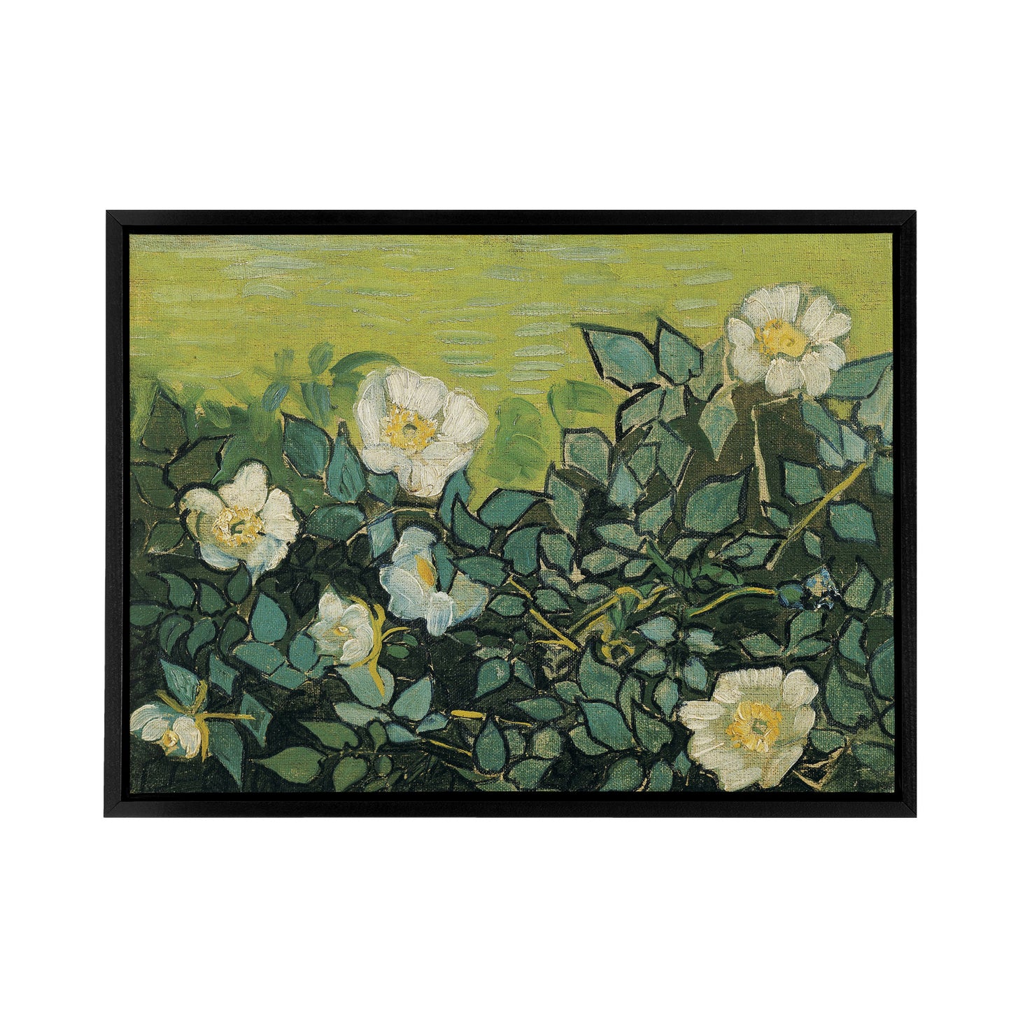 Vincent Van Gogh Wild Roses Floral Black Framed Canvas Wall Art Print