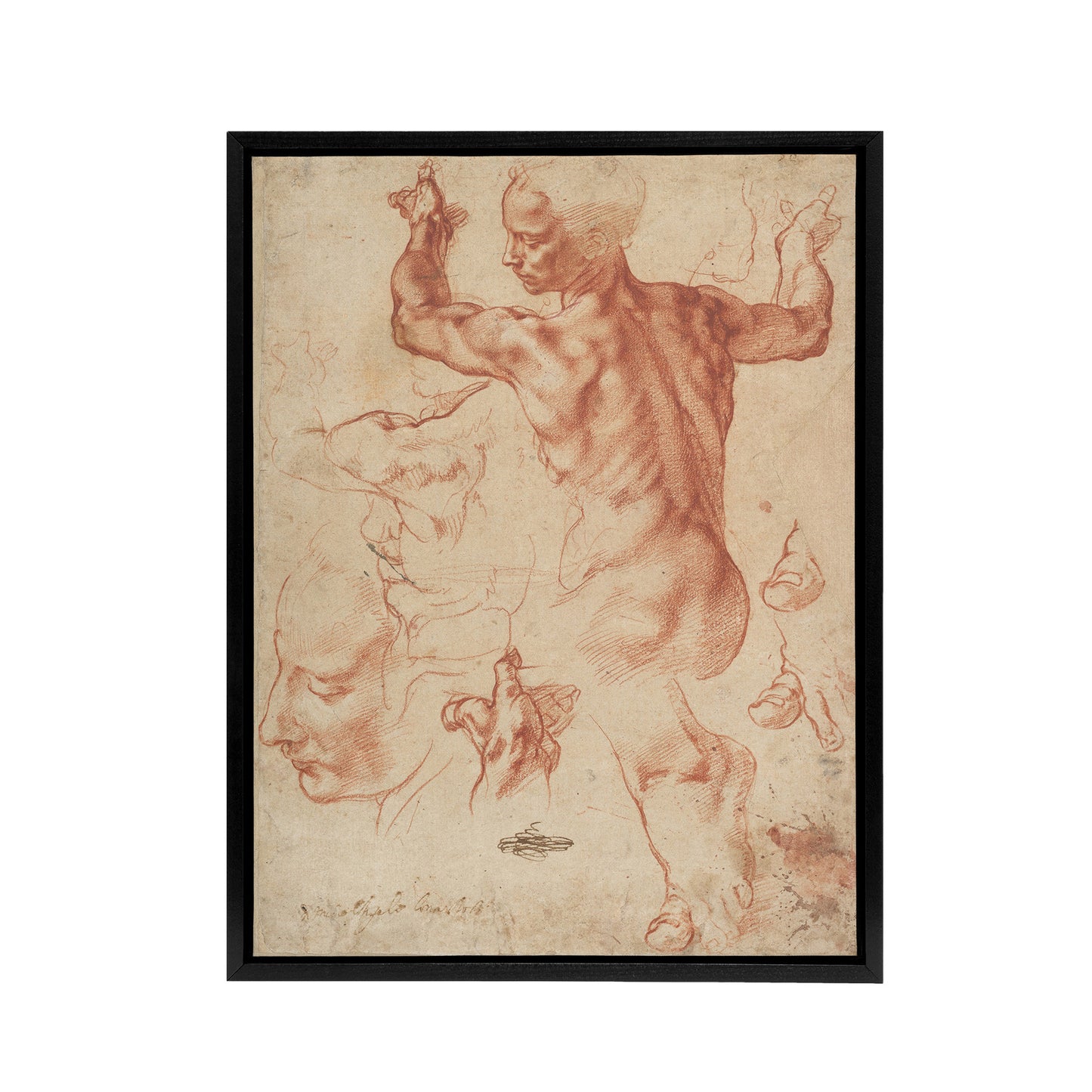 Michelangelo Studies For The Libyan Black Framed Canvas Wall Art Print