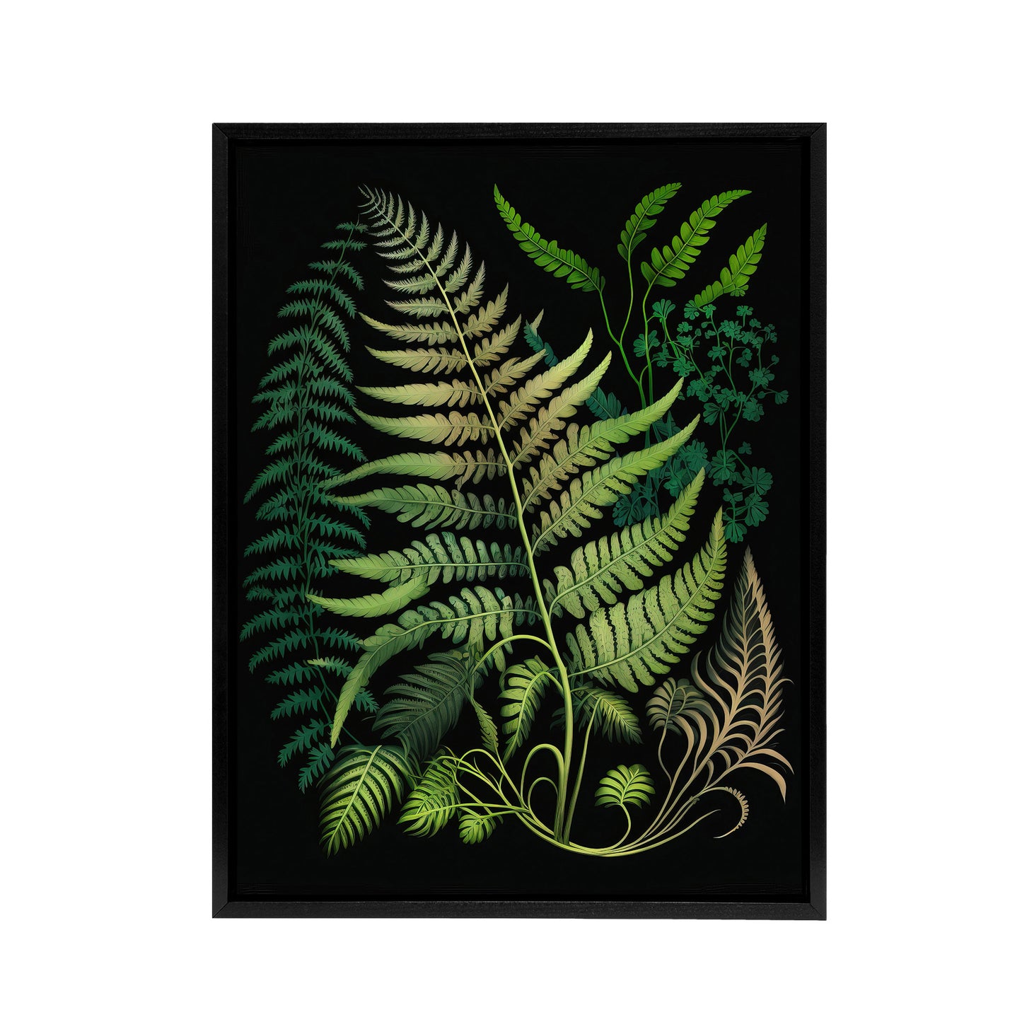 Elegant Fern Fronds Botanical Black Framed Canvas Wall Art Print
