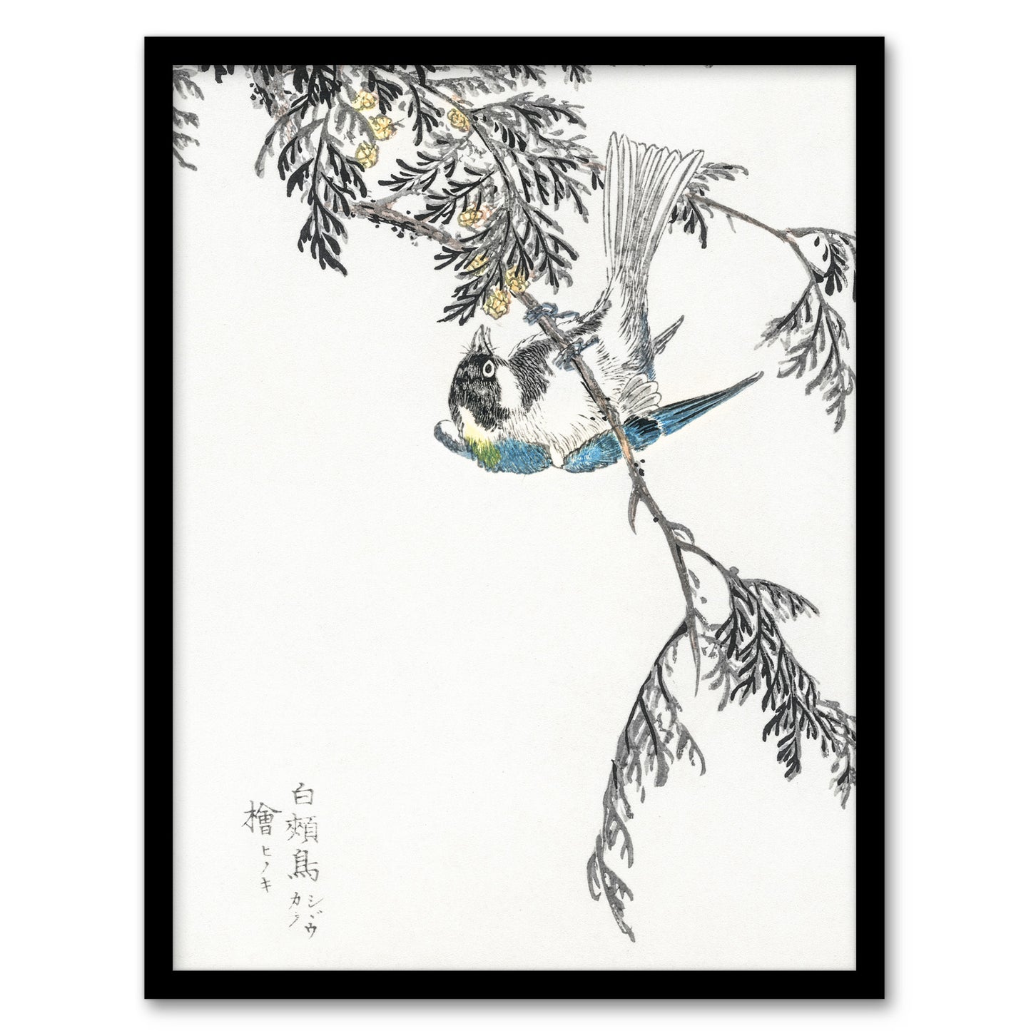 Kashu Framed Wall Art Print Great Tit and Japanese Cypress Japanese Home Décor