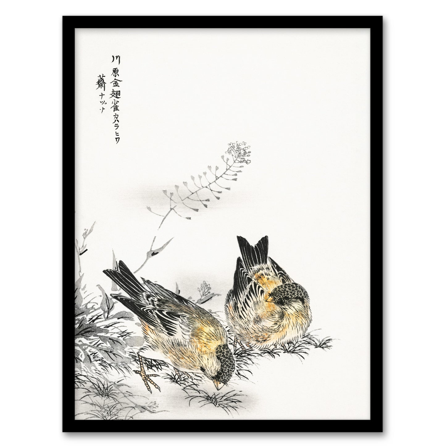 Numata Kashu Framed Wall Art Greenfinch and Shepherds Purse Plant Home Décor