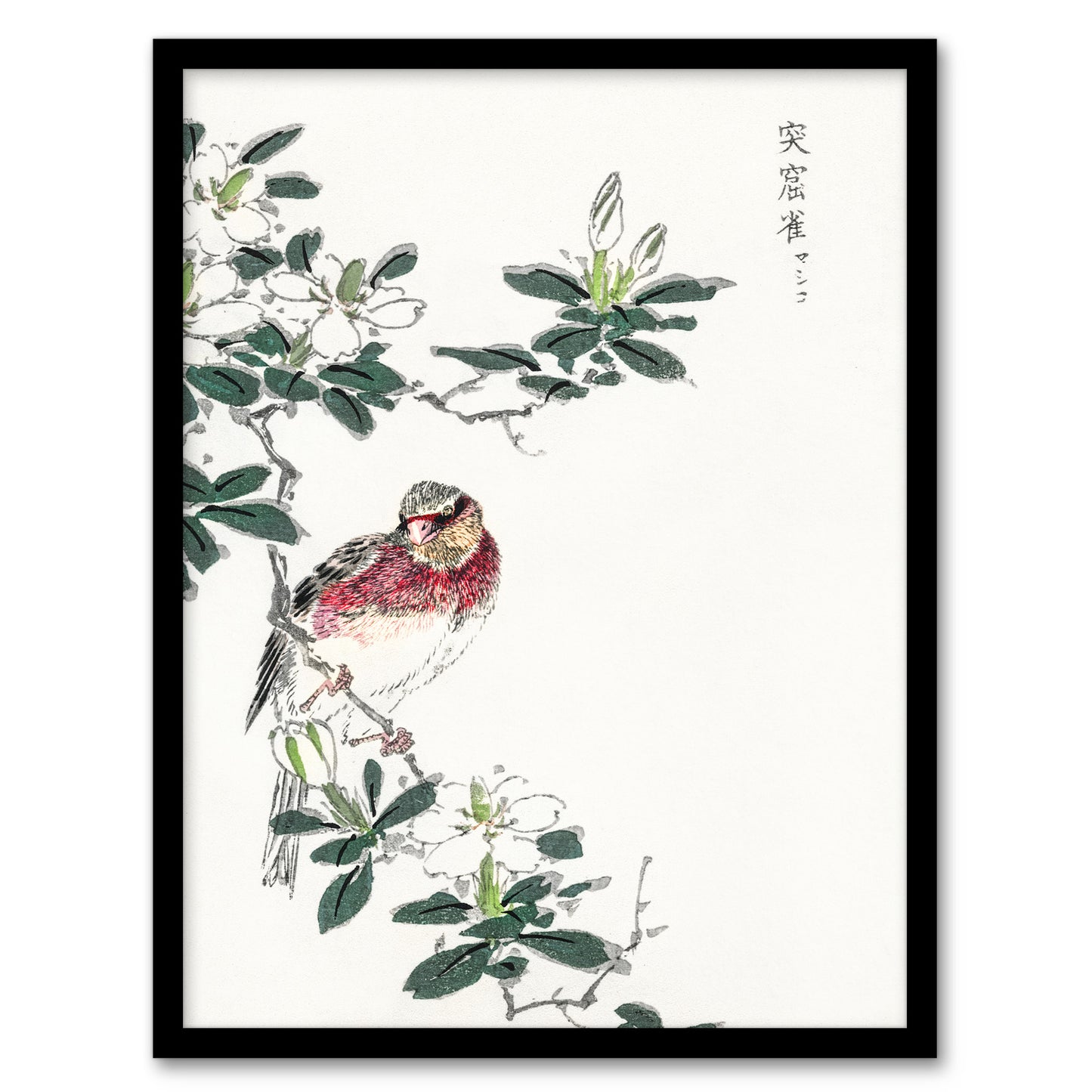 Numata Kashu Framed Wall Art Print Long Tailed Rosefinch Japanese Home Décor
