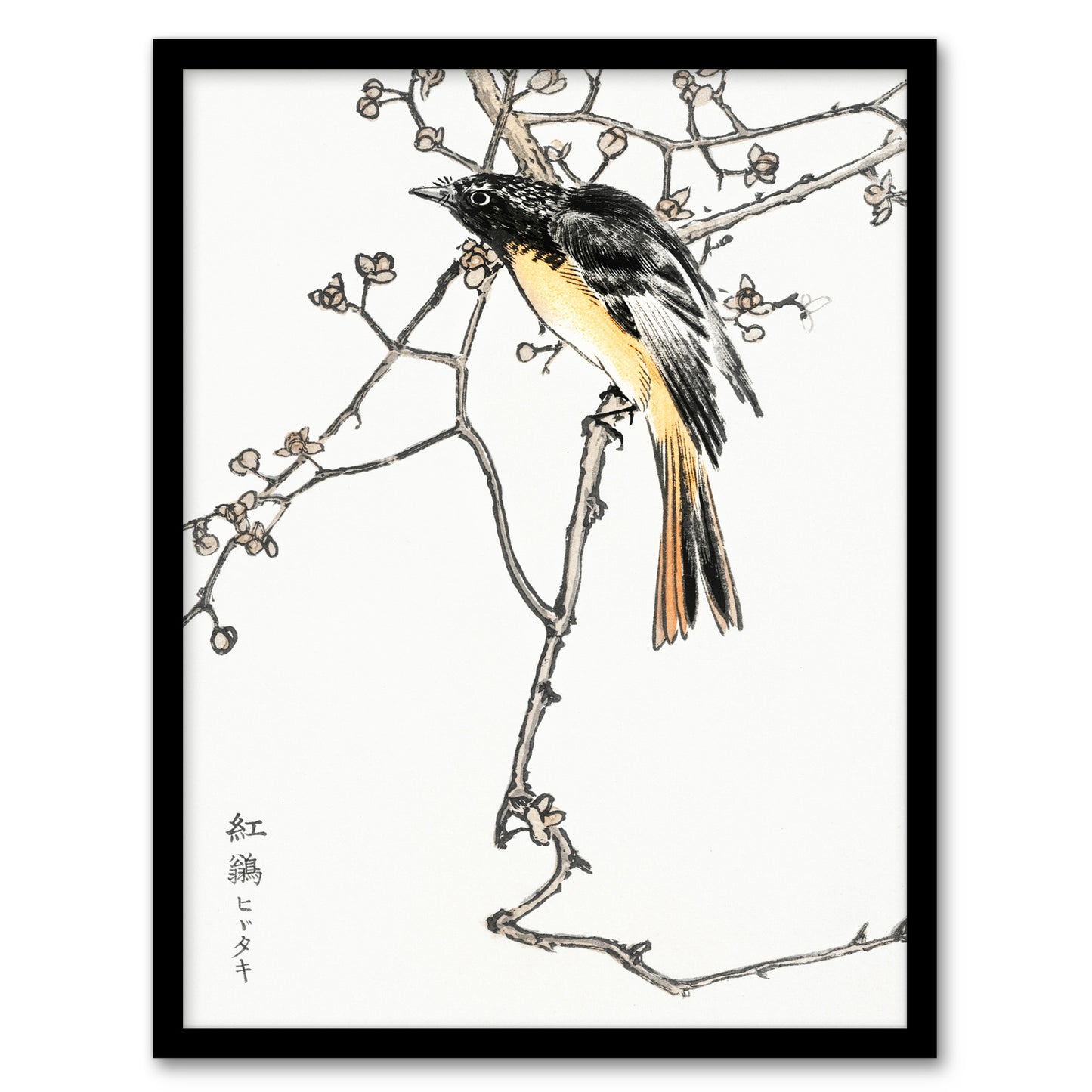 Numata Kashu Framed Wall Art Print Siberian Blue Tail Bird Japanese Home Décor