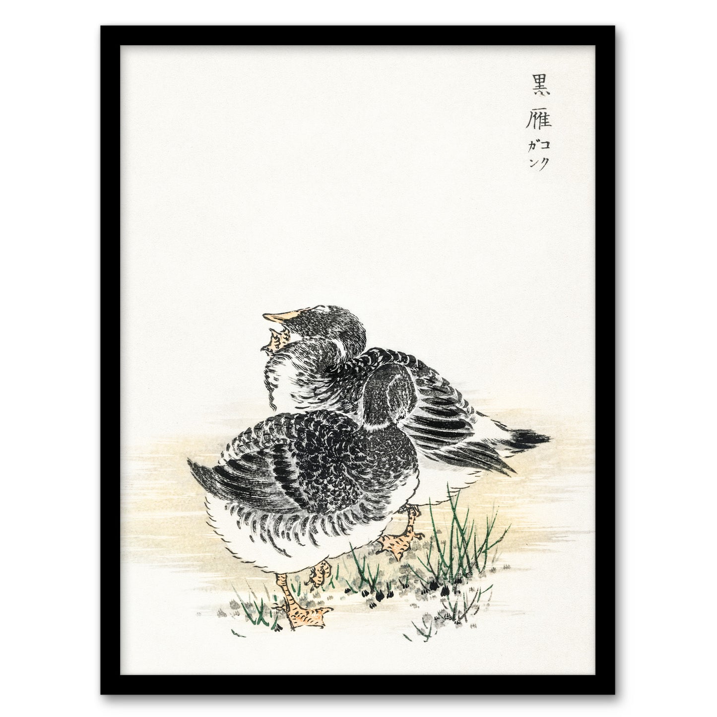 Kashu Framed Wall Art Black Brant Geese Pictorial Monograph Of Birds Home Décor