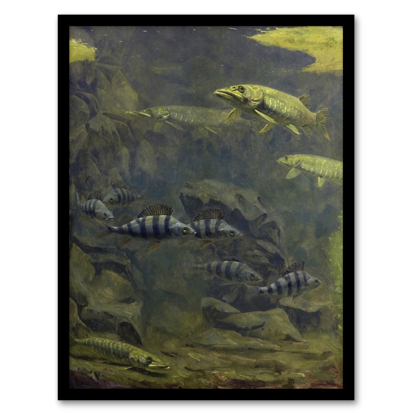 Gerrit Willem Dijsselhof Framed Wall Art Pike and Perch in Aquarium Home Décor