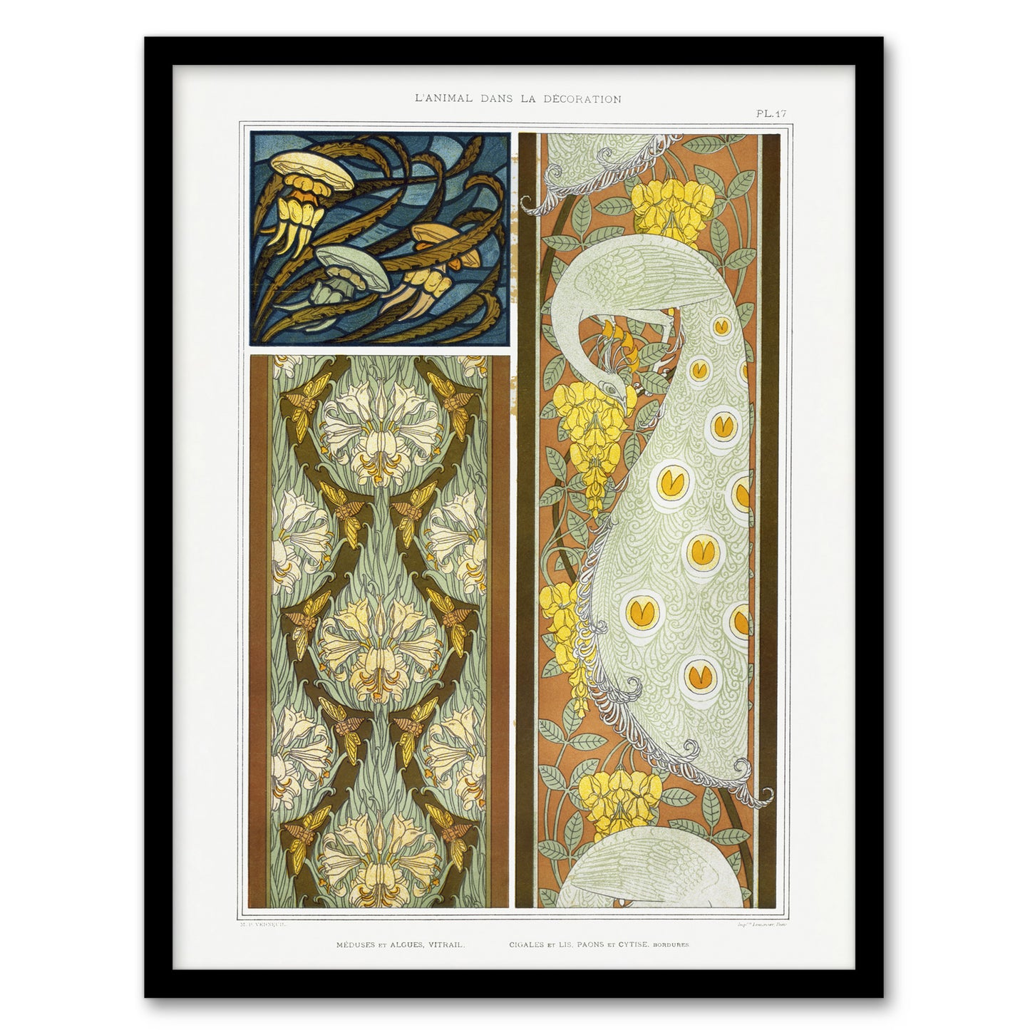 Maurice Pillard Verneuil Framed Wall Art Peacock Jellyfish Lily Nouveau Patterns