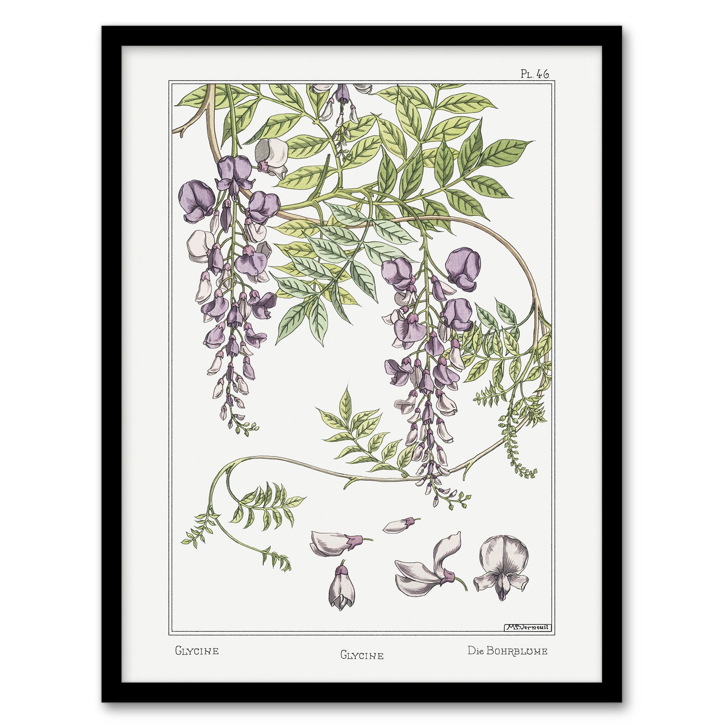 Maurice Pillard Verneuil Framed Wall Art Print Wisteria Flower Home Décor