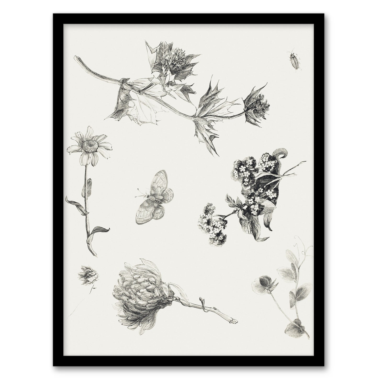 Theo van Hoytema Framed Wall Art Flowers Leaves and Butterfly Drawing Home Décor