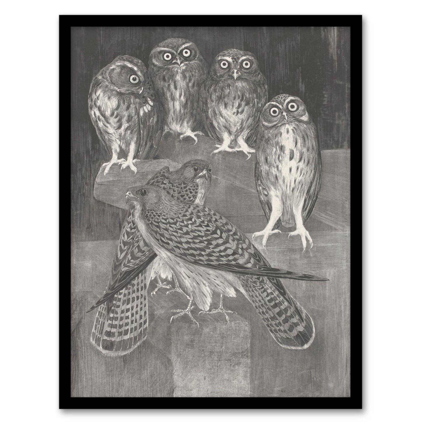 Theo van Hoytema Framed Wall Art Print Four Owls and Two Kestrels Home Décor