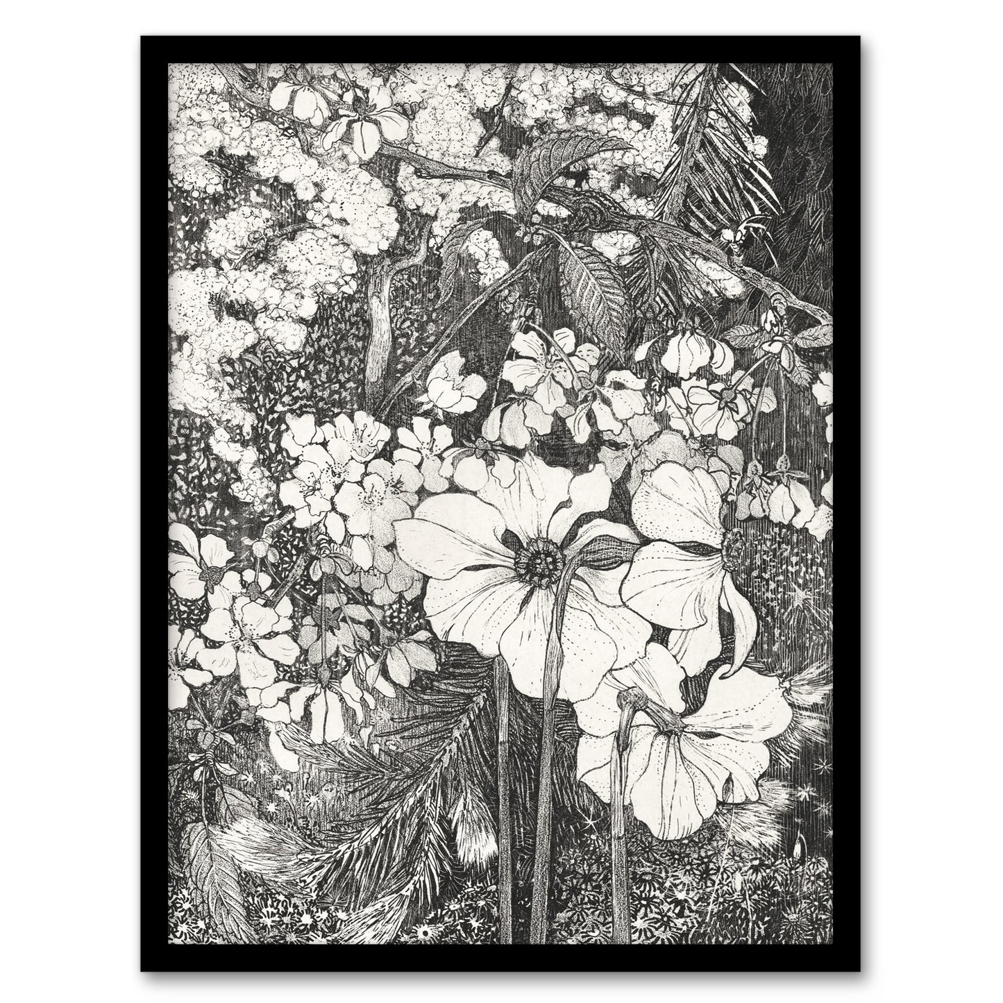 Theo van Hoytema Framed Wall Art Print Spring Flowers Black and White Home Décor