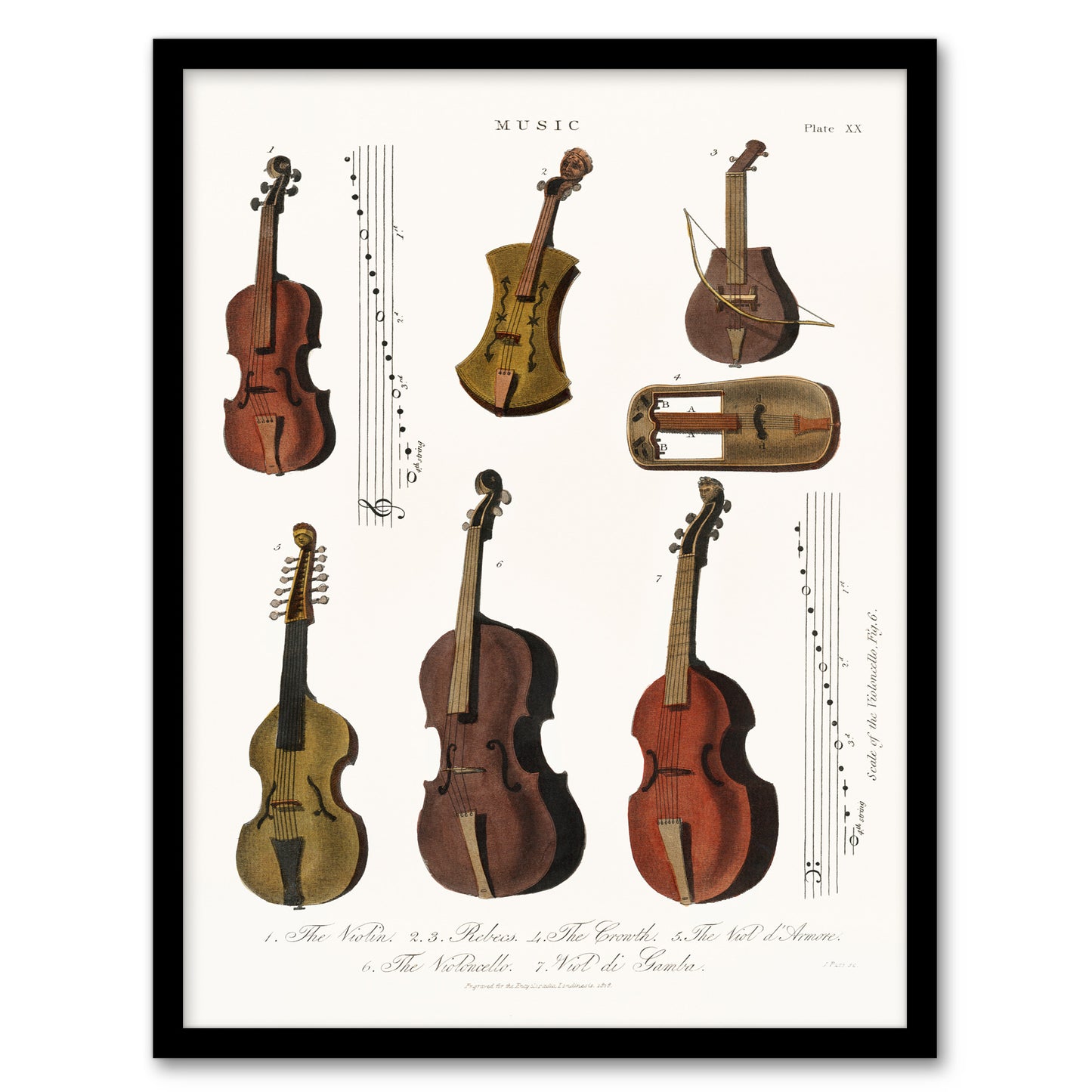 Encyclopedia Londinensis Framed Wall Art Antique Violin Viola Cello Home Décor