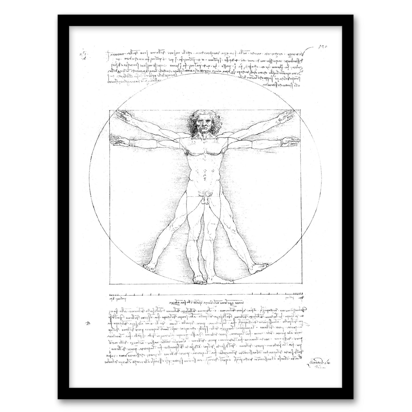 Leonardo da Vinci Framed Wall Art Print Vitruvian Man Black and White Home Décor