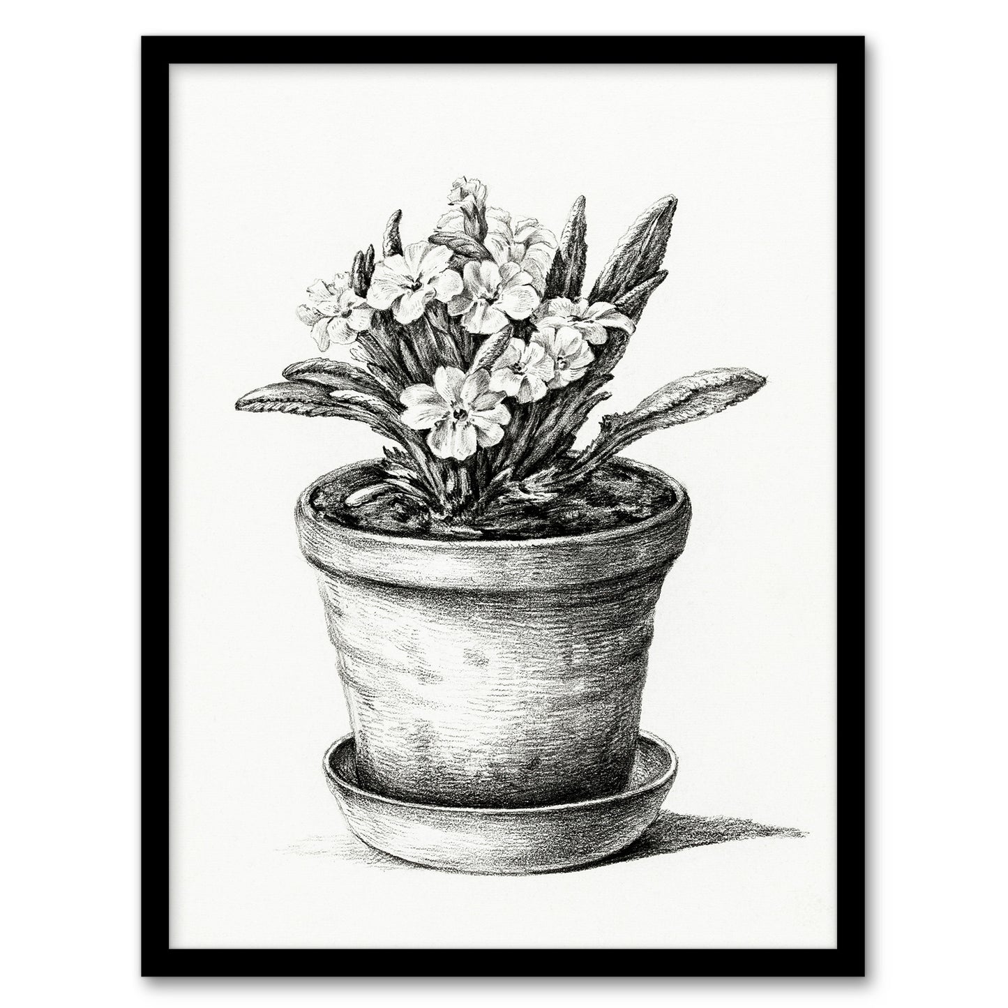 Jean Bernard Framed Wall Art Potted Flowering Plant Pencil Drawing Home Décor