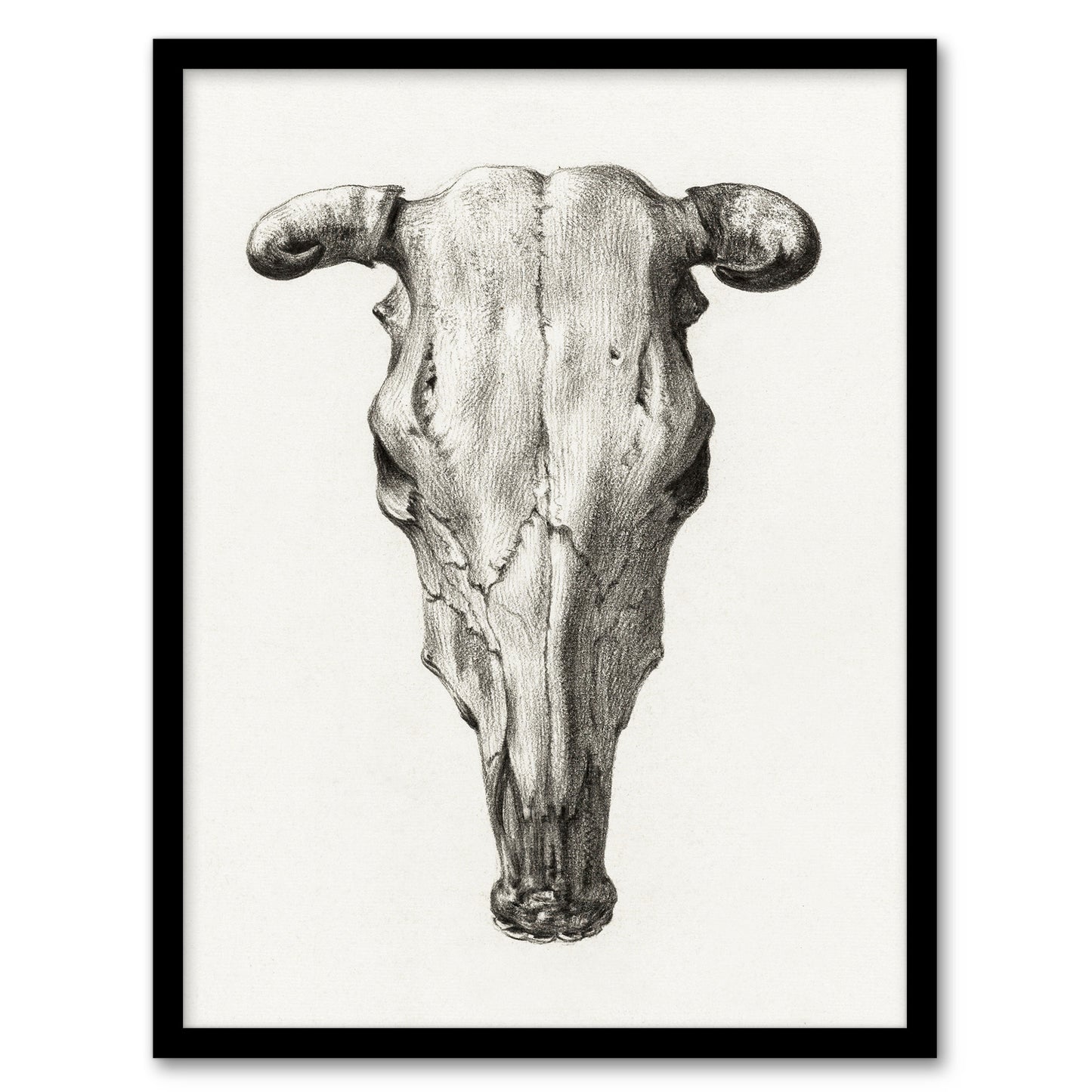Jean Bernard Framed Wall Art Print Skull of a Cow Pencil Drawing Home Décor