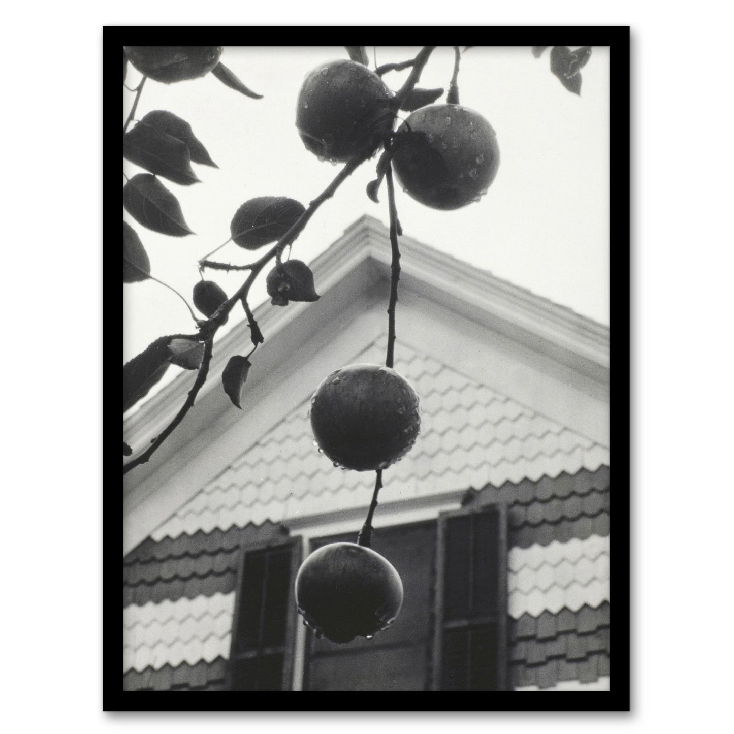 Alfred Stieglitz Gable and Apples Vintage Photograph Framed Wall Art Print