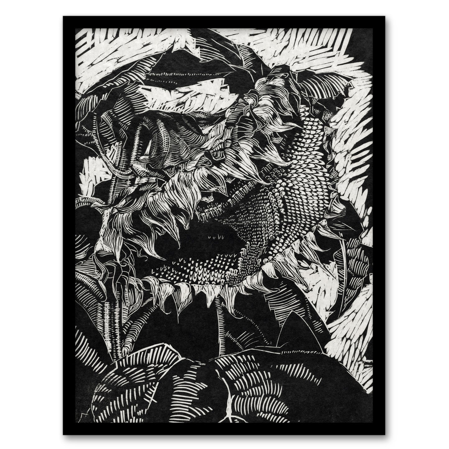Reijer Stolk Sunflower Abstract Black White Flower Framed Wall Art Print
